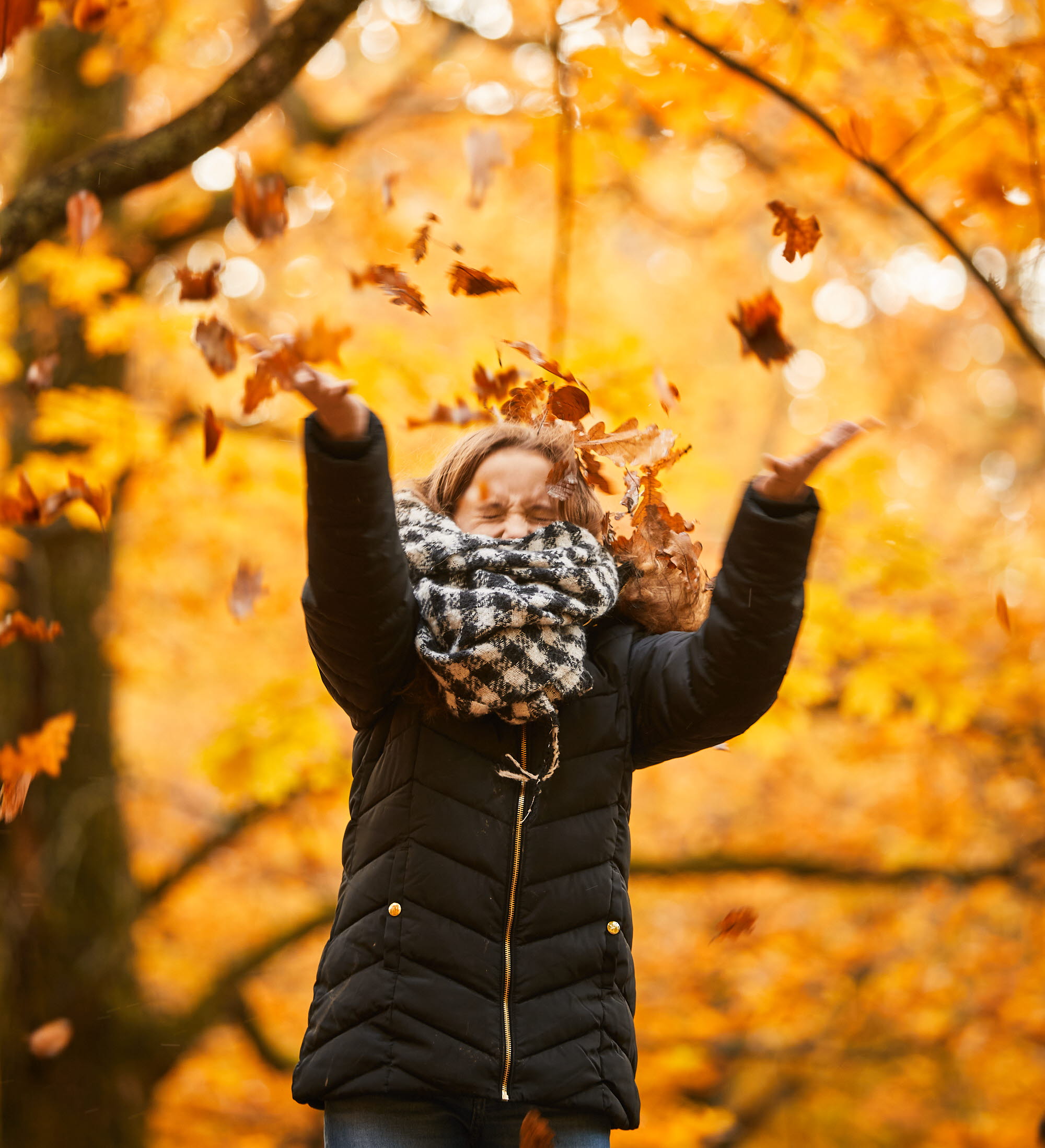 Höstlov i Alingsås