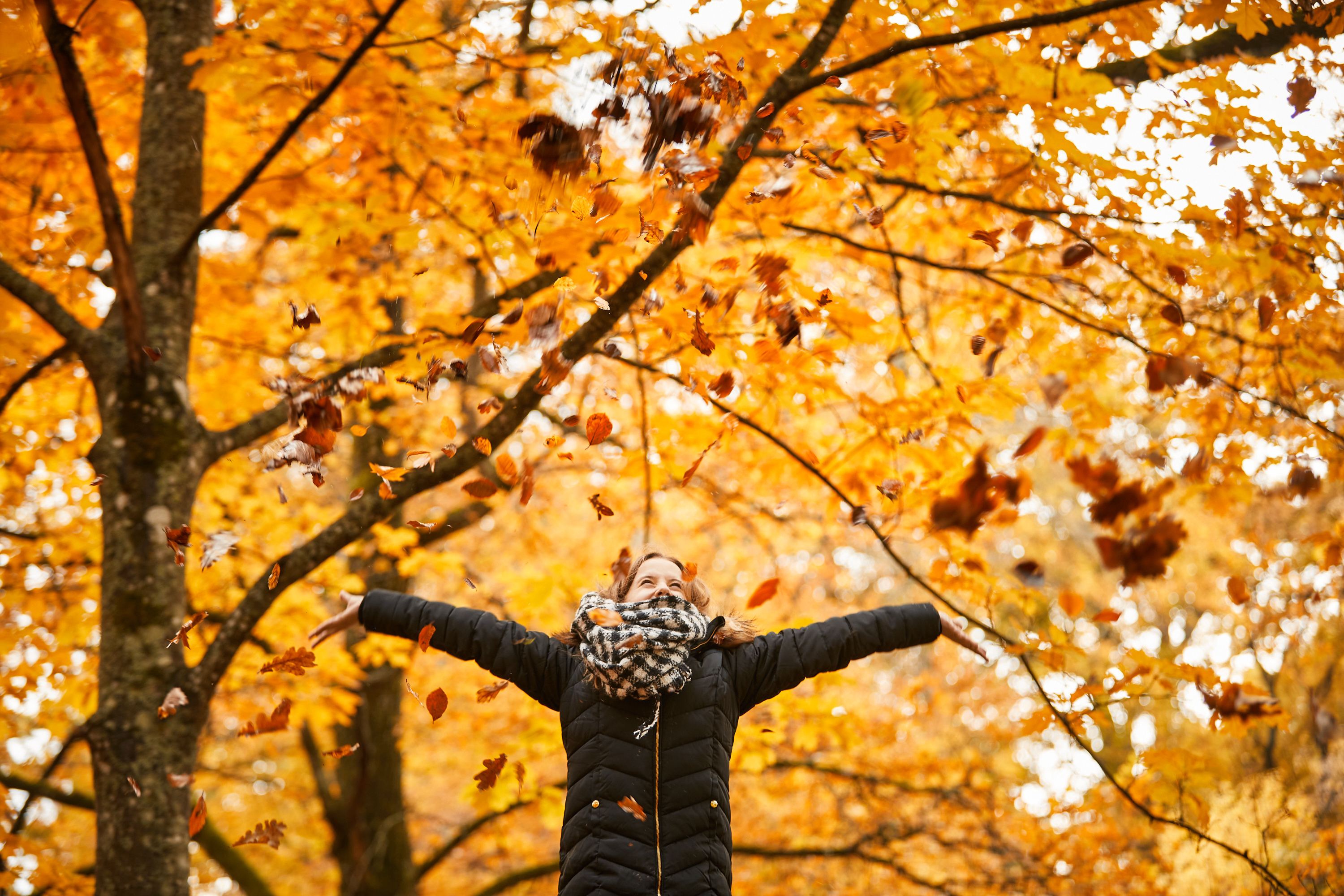 Höstlov i Alingsås