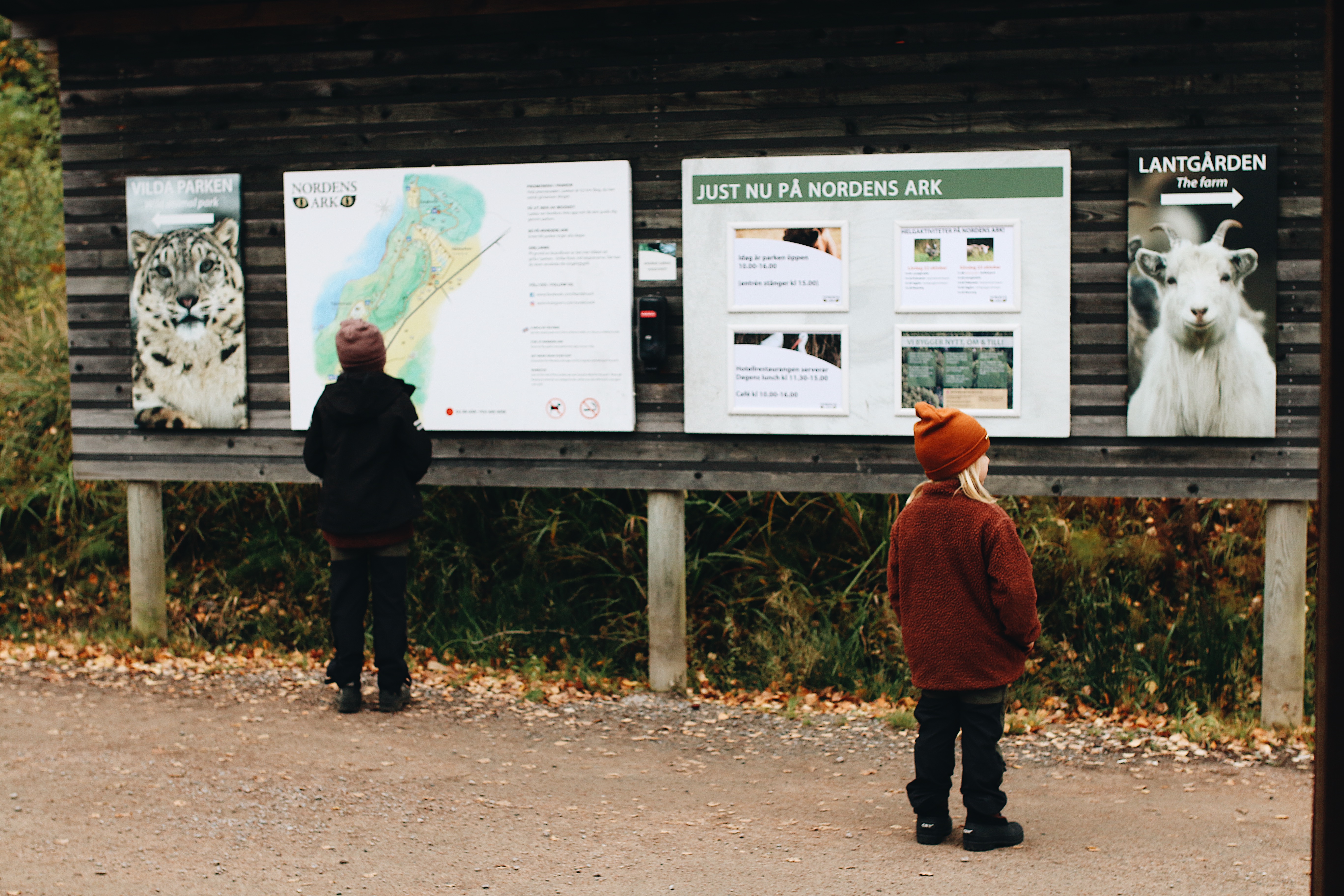 Familjeaktivitet hos Nordens Ark