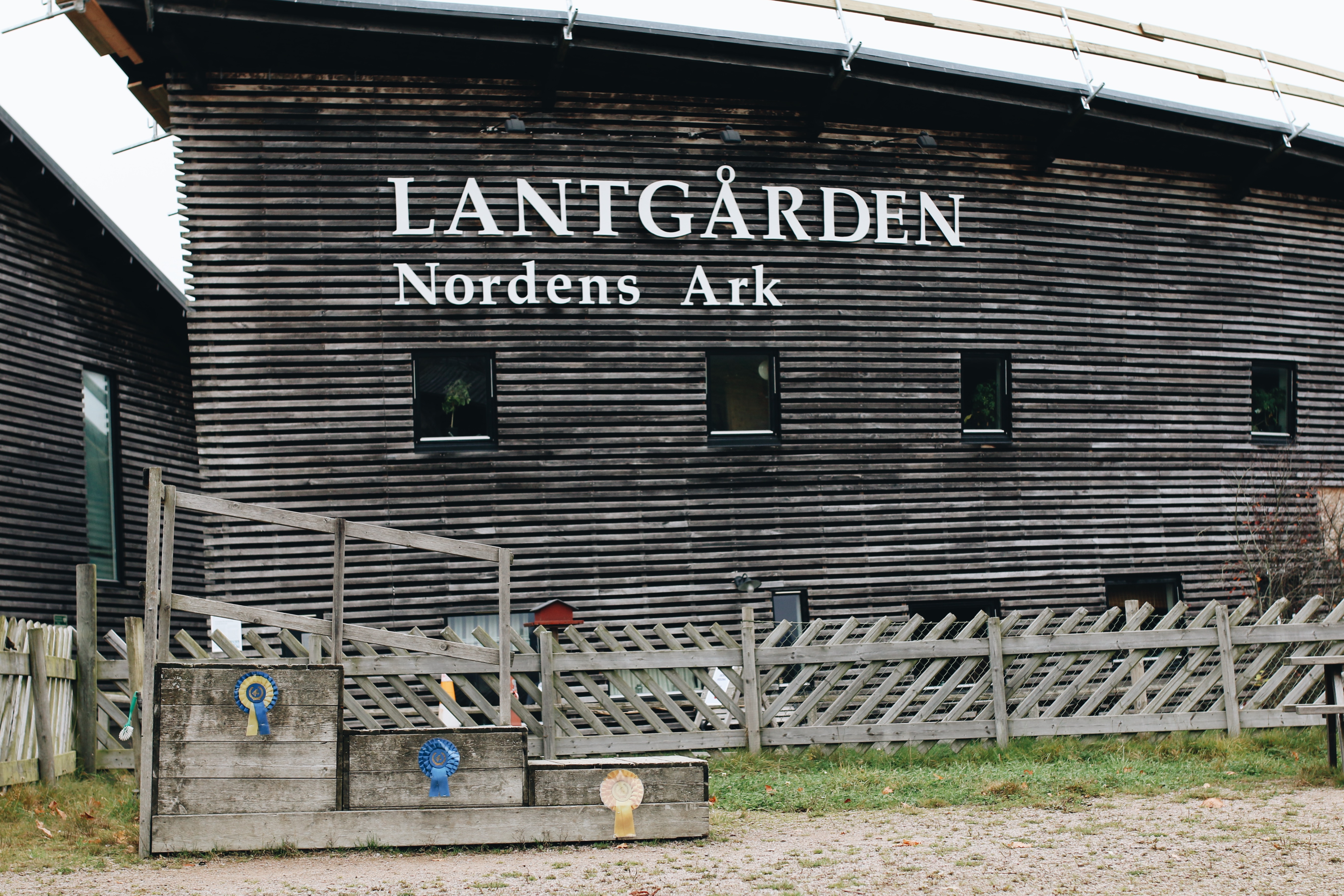 Familjeaktivitet hos Nordens Ark