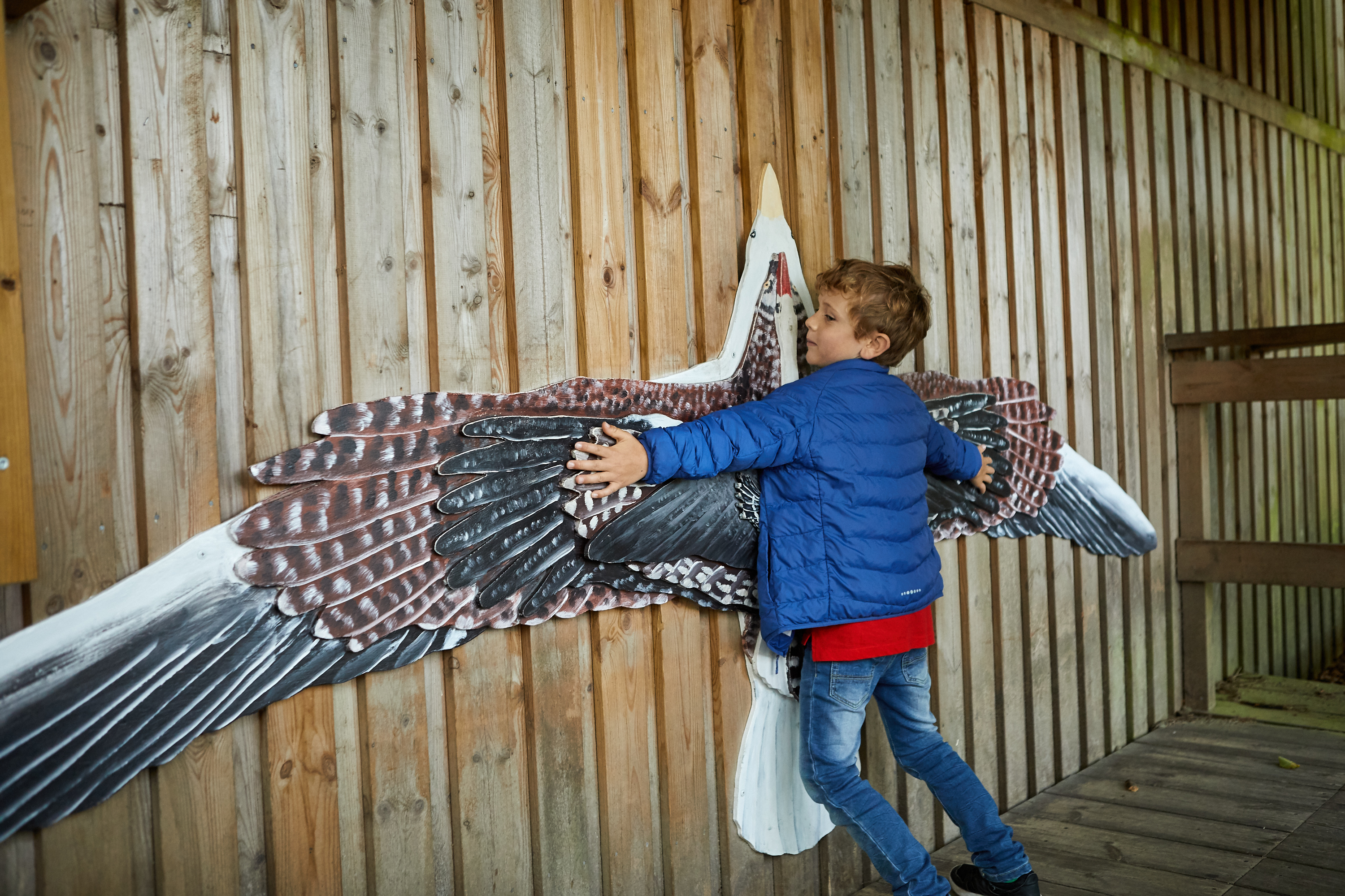 People watching animals at Nordens Ark