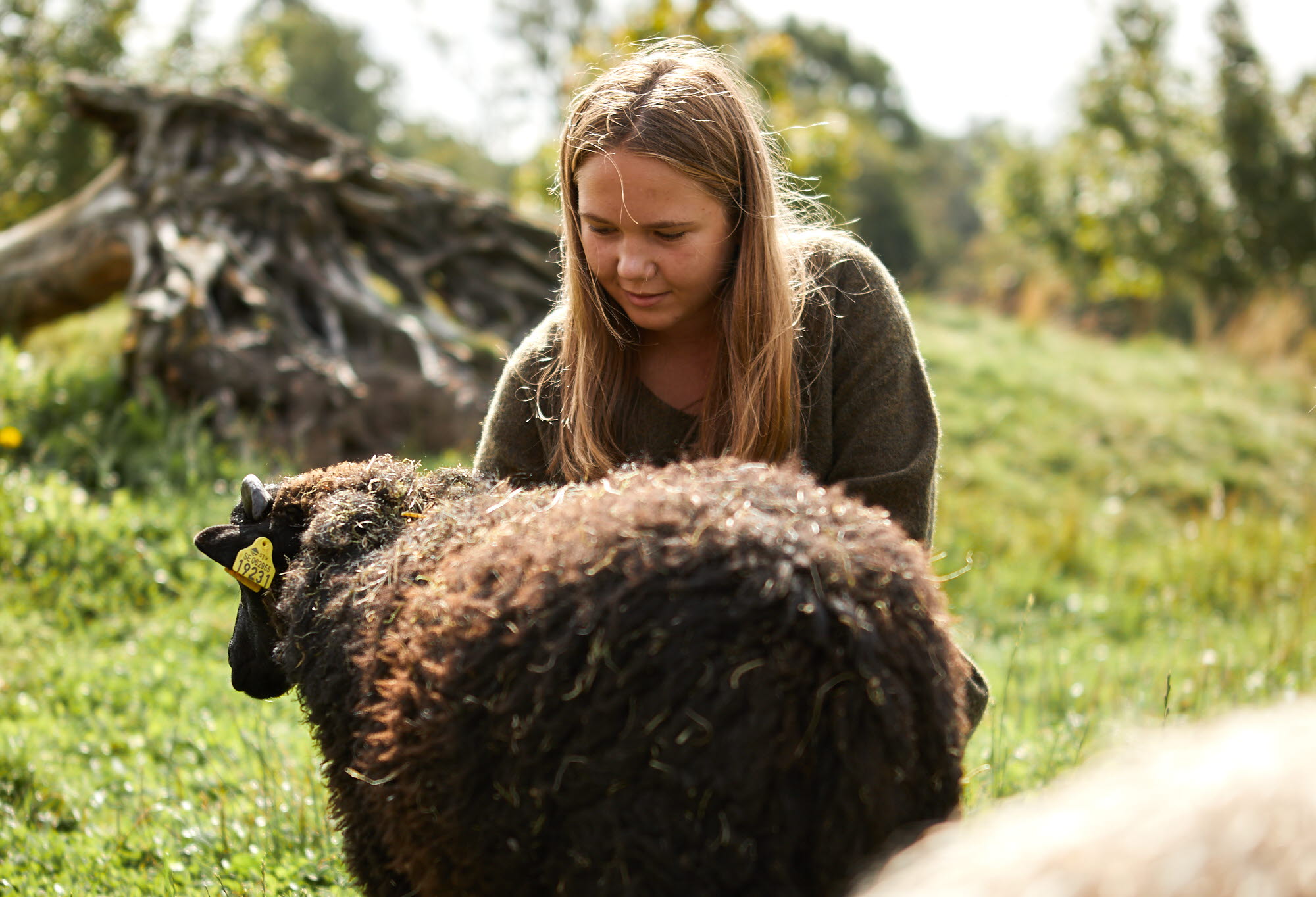 Människor tittar på djur på Nordens Ark