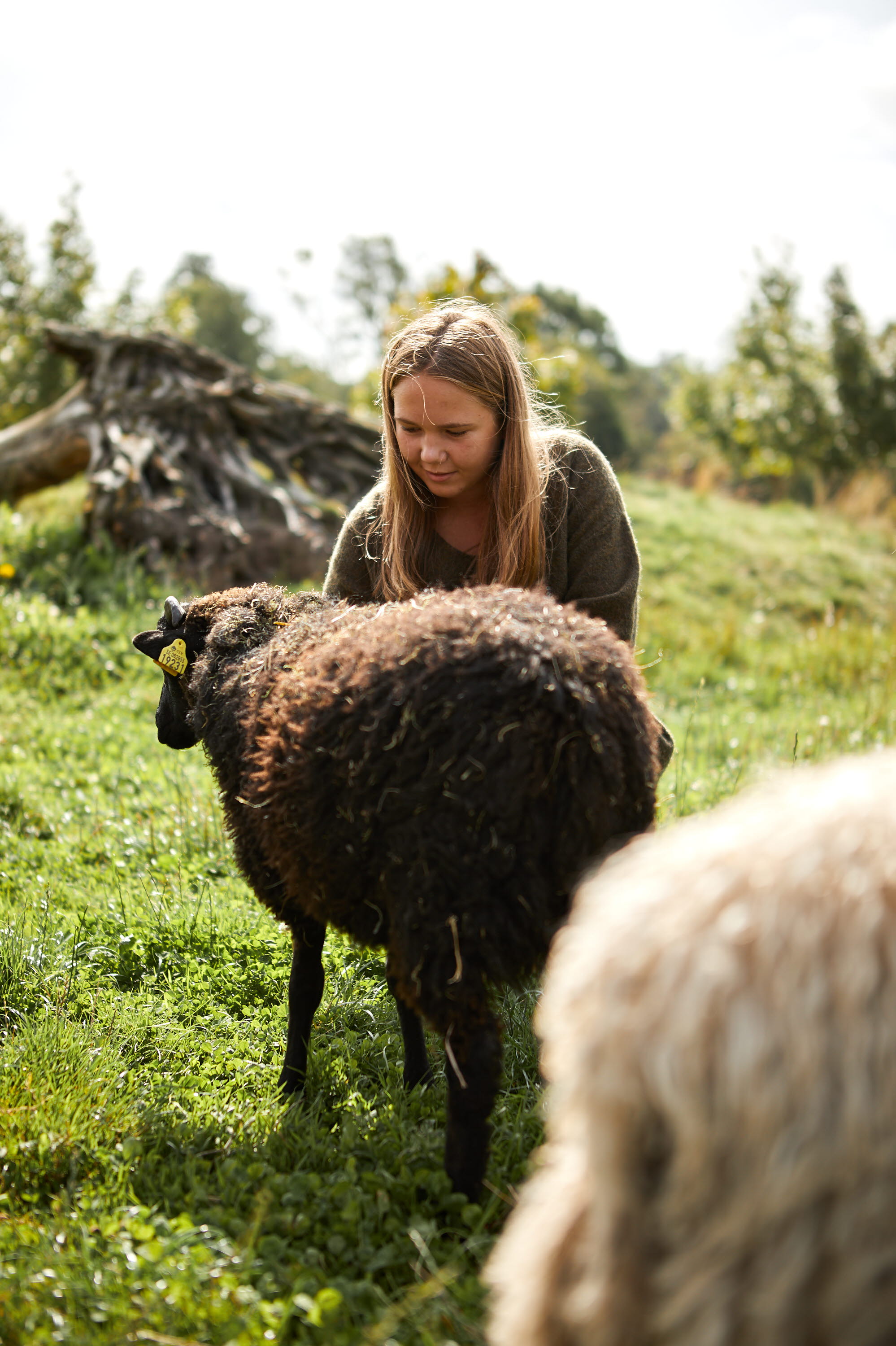 Människor tittar på djur på Nordens Ark
