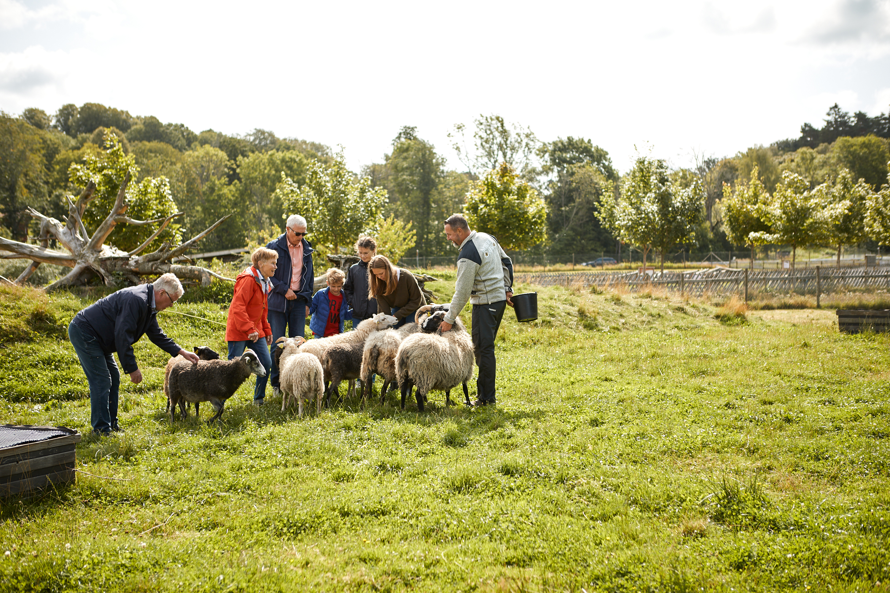 Människor tittar på djur på Nordens Ark