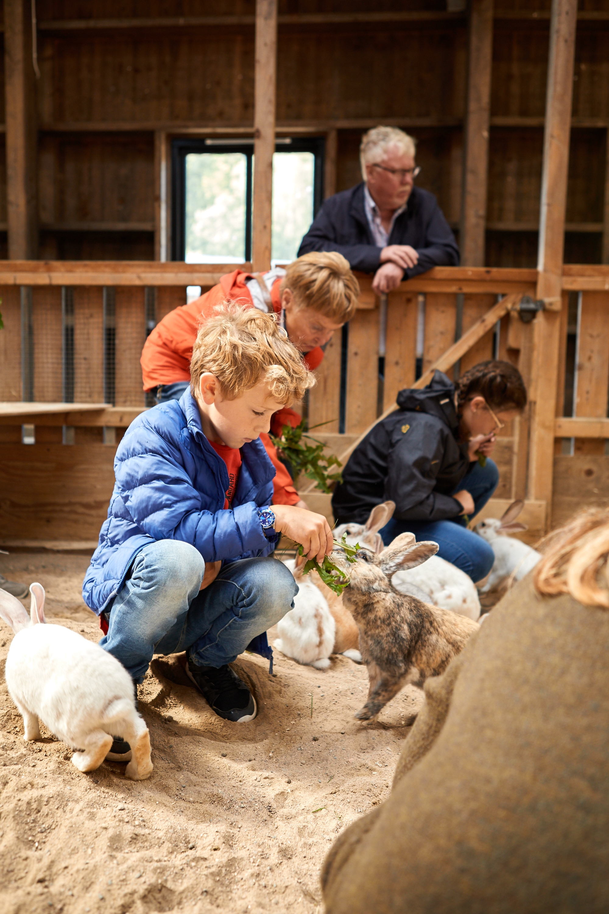 People watching animals at Nordens Ark