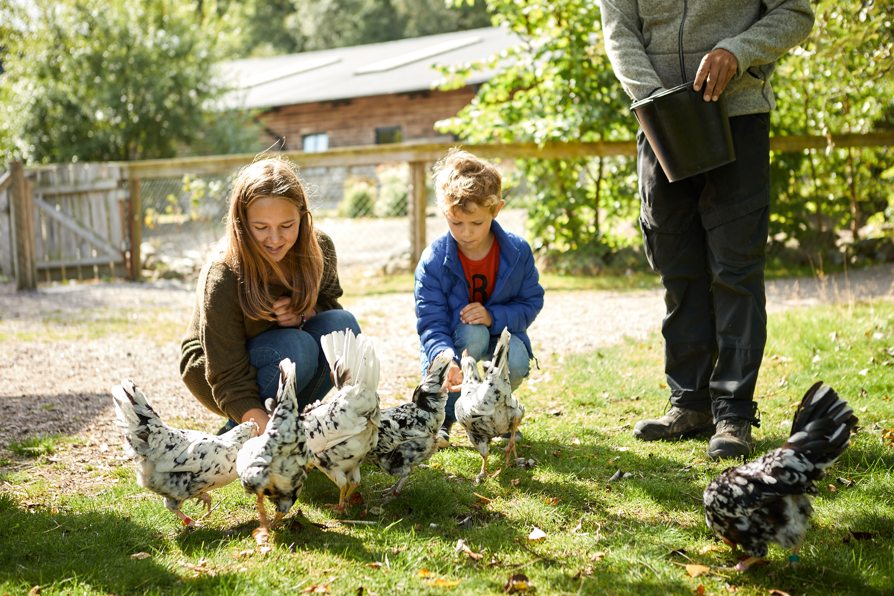 Människor tittar på djur på Nordens Ark