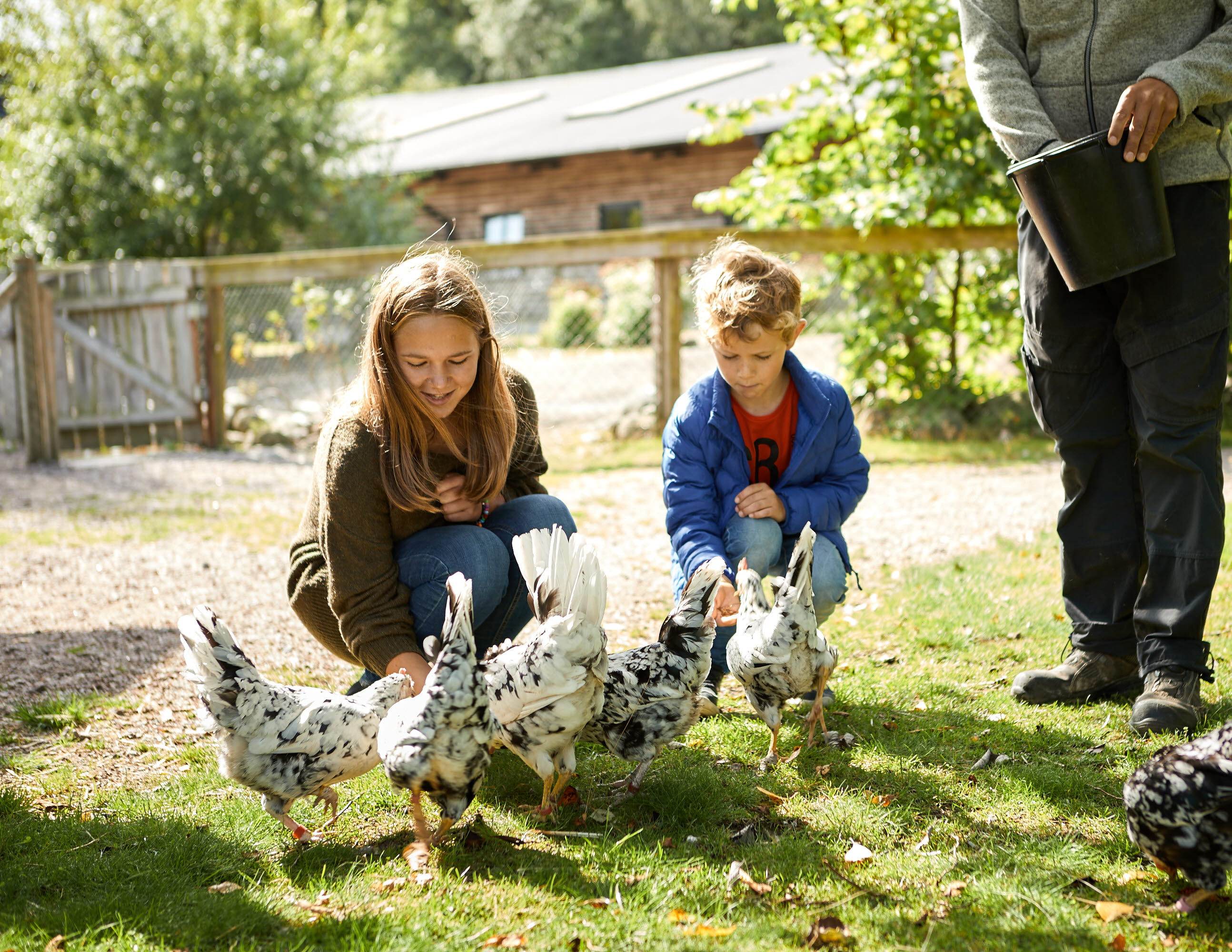 Människor tittar på djur på Nordens Ark