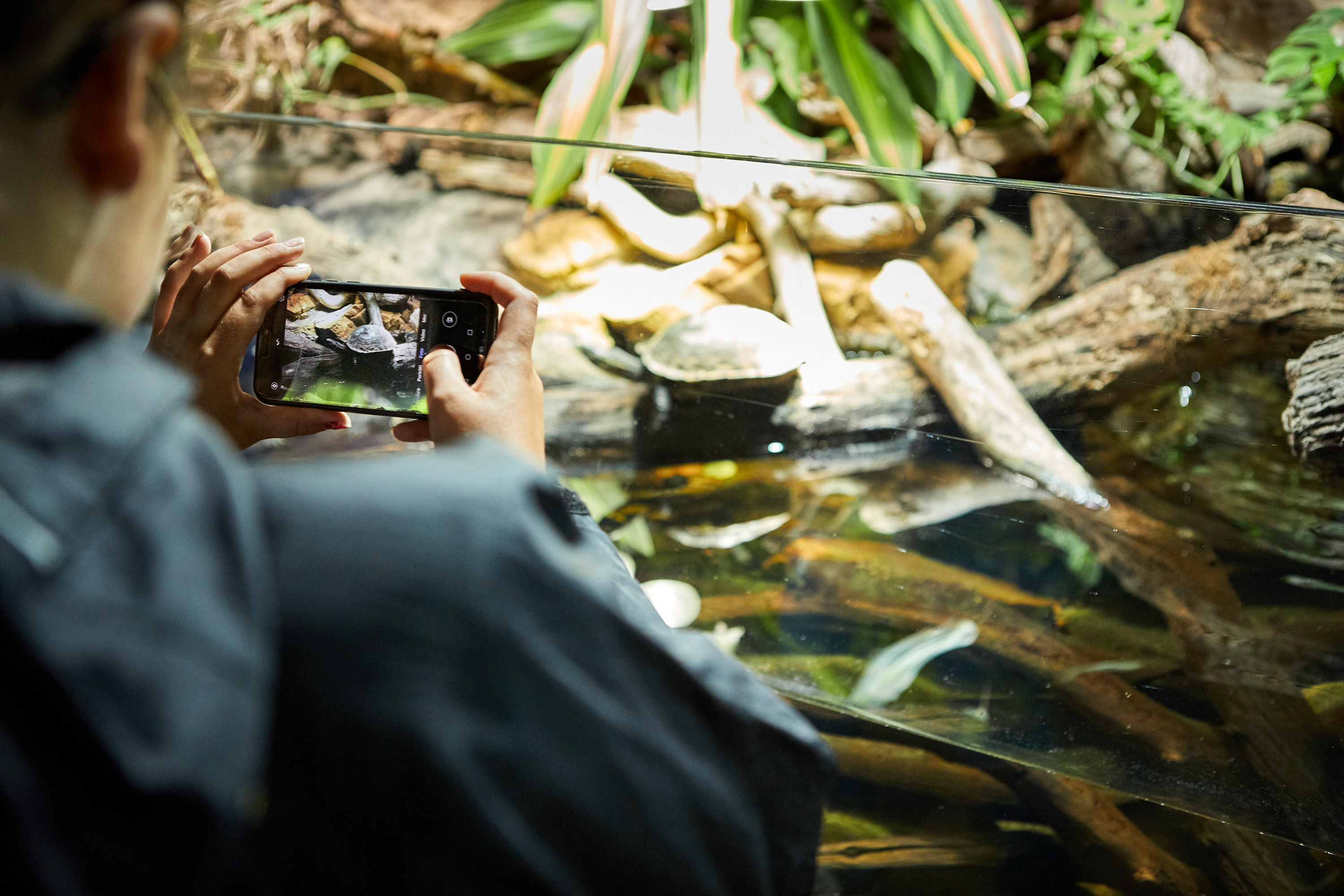 People watching animals at Nordens Ark