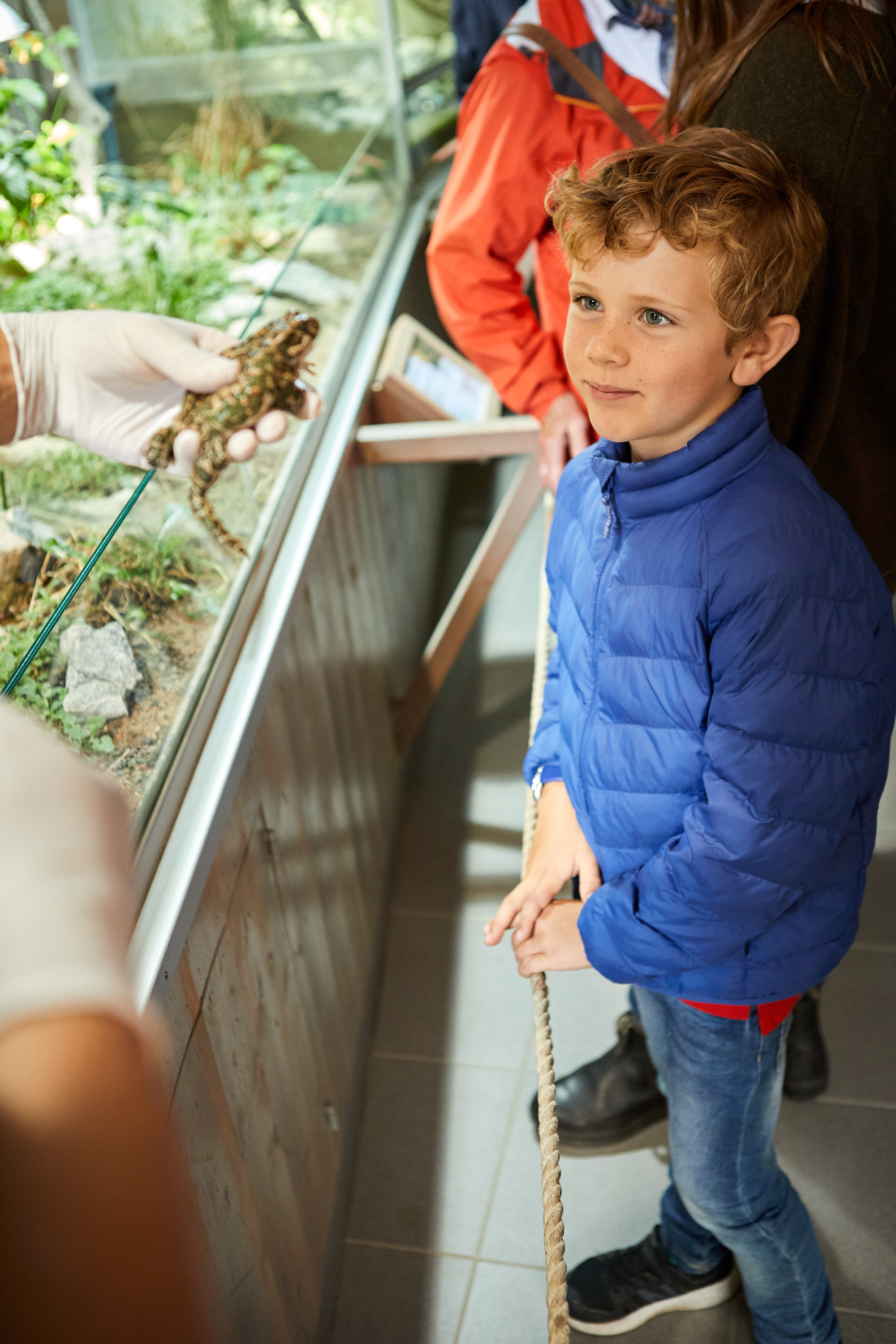 People watching animals at Nordens Ark