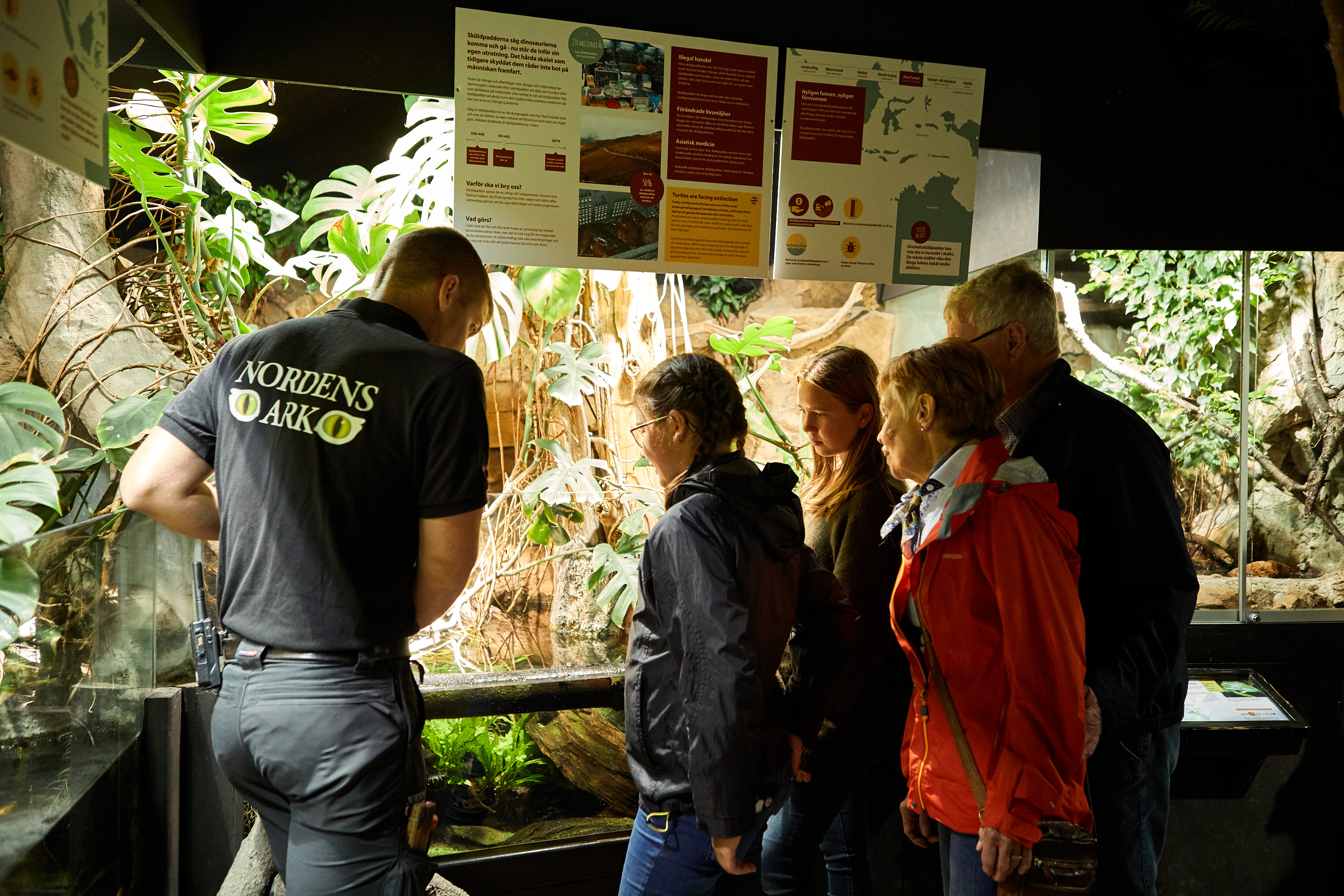 Människor tittar på djur på Nordens Ark