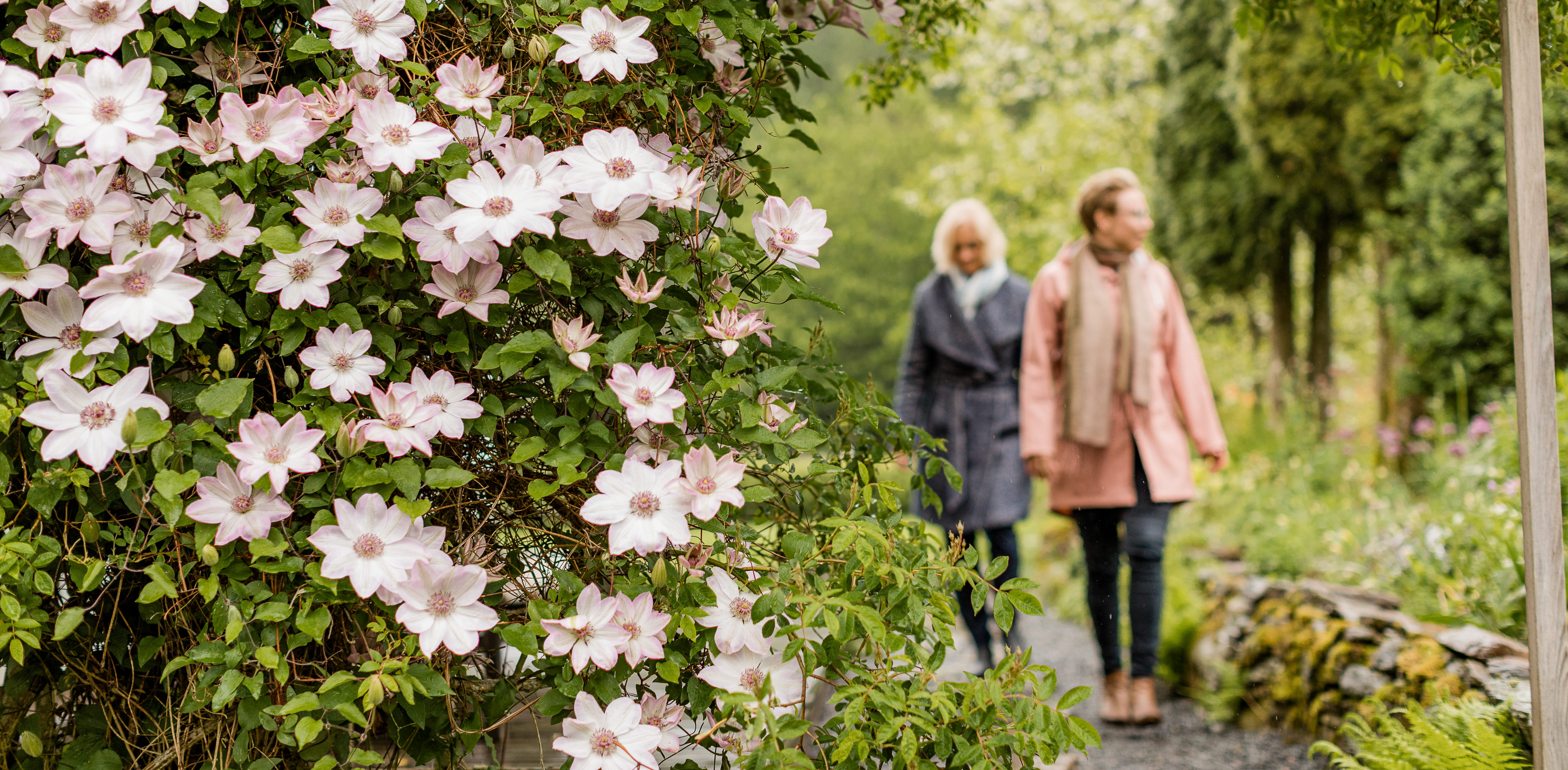 Människor besöker Nyhagens Trädgård