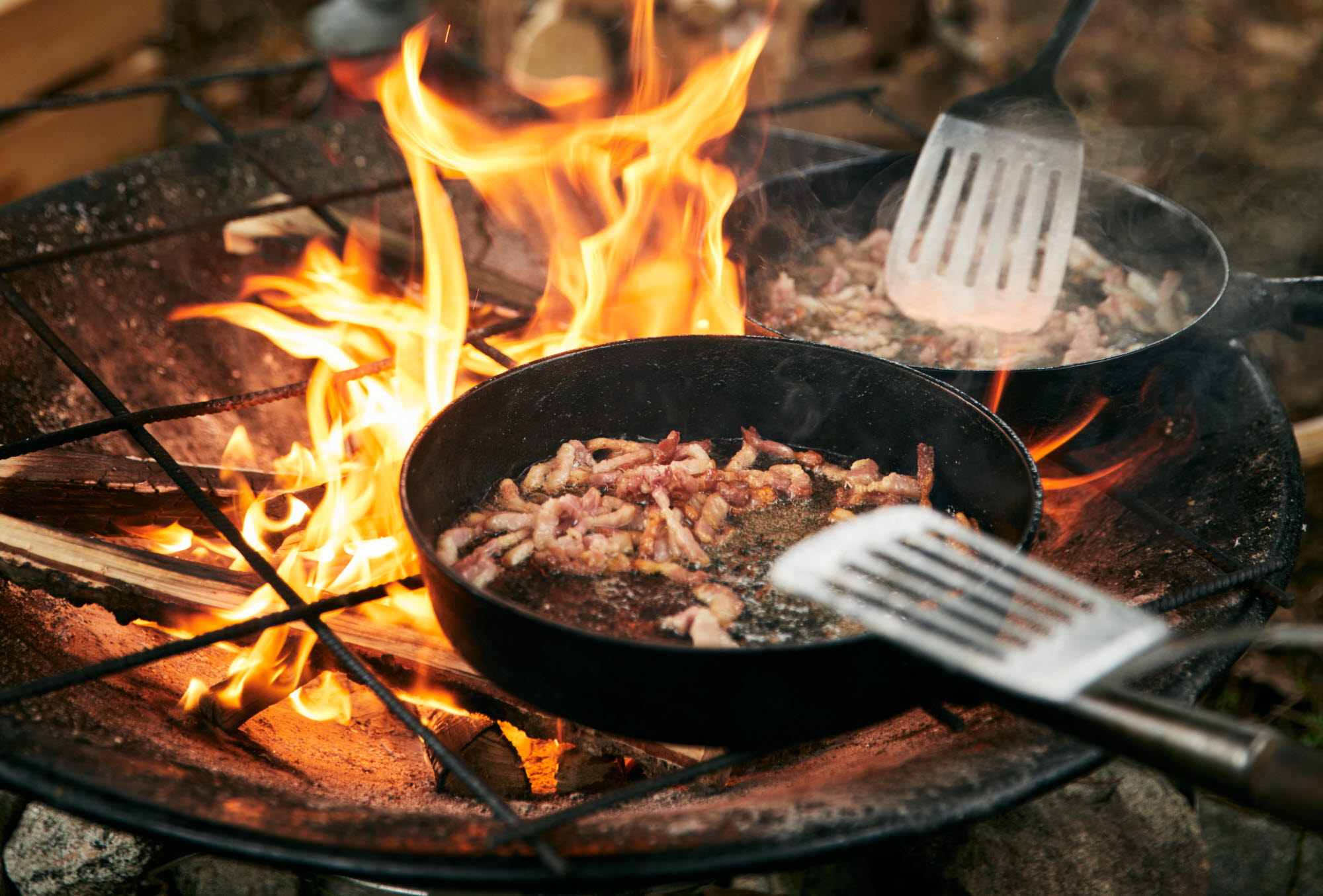 Kolbulle hos Pevon Ecoturism