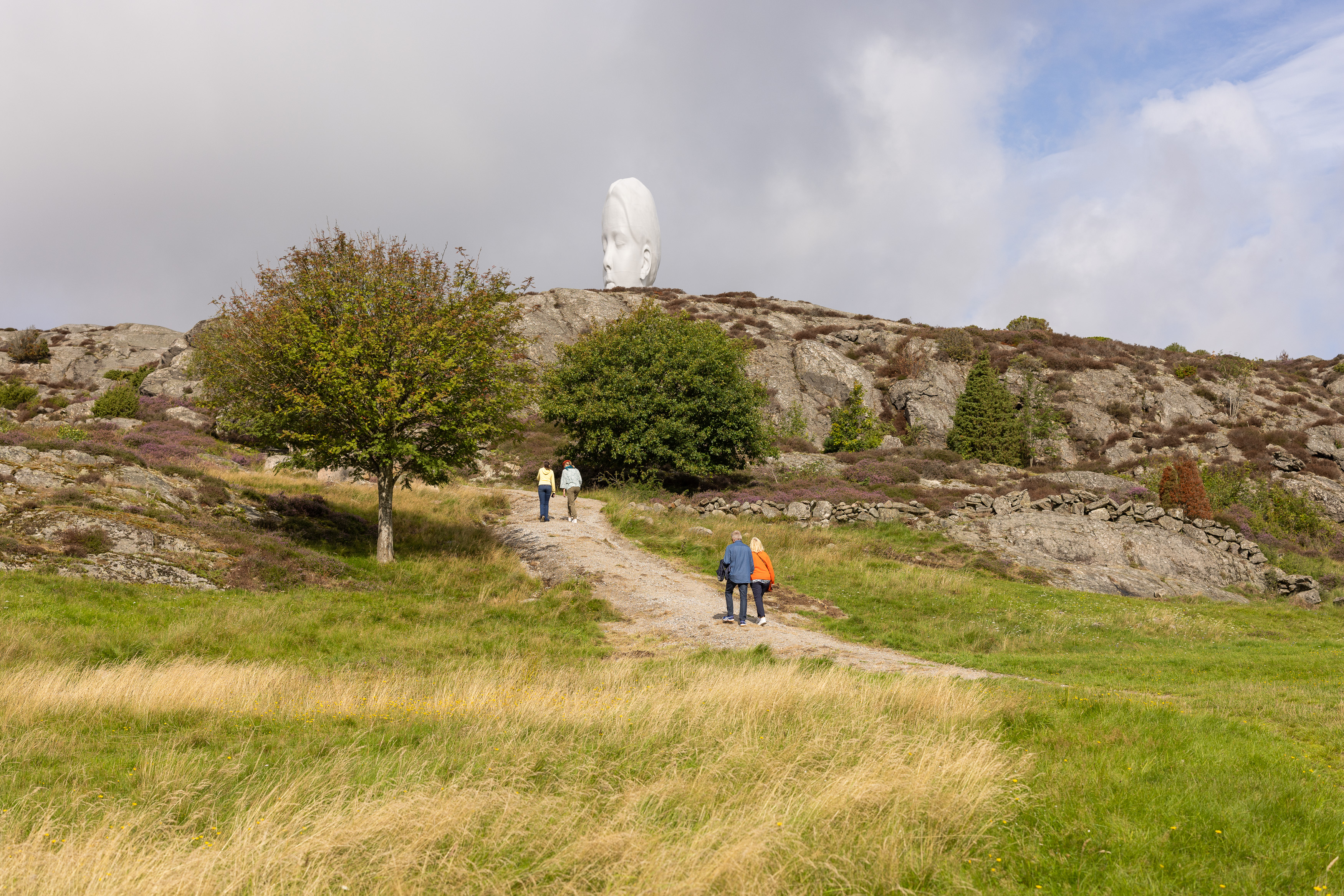 Sculpture in nature.