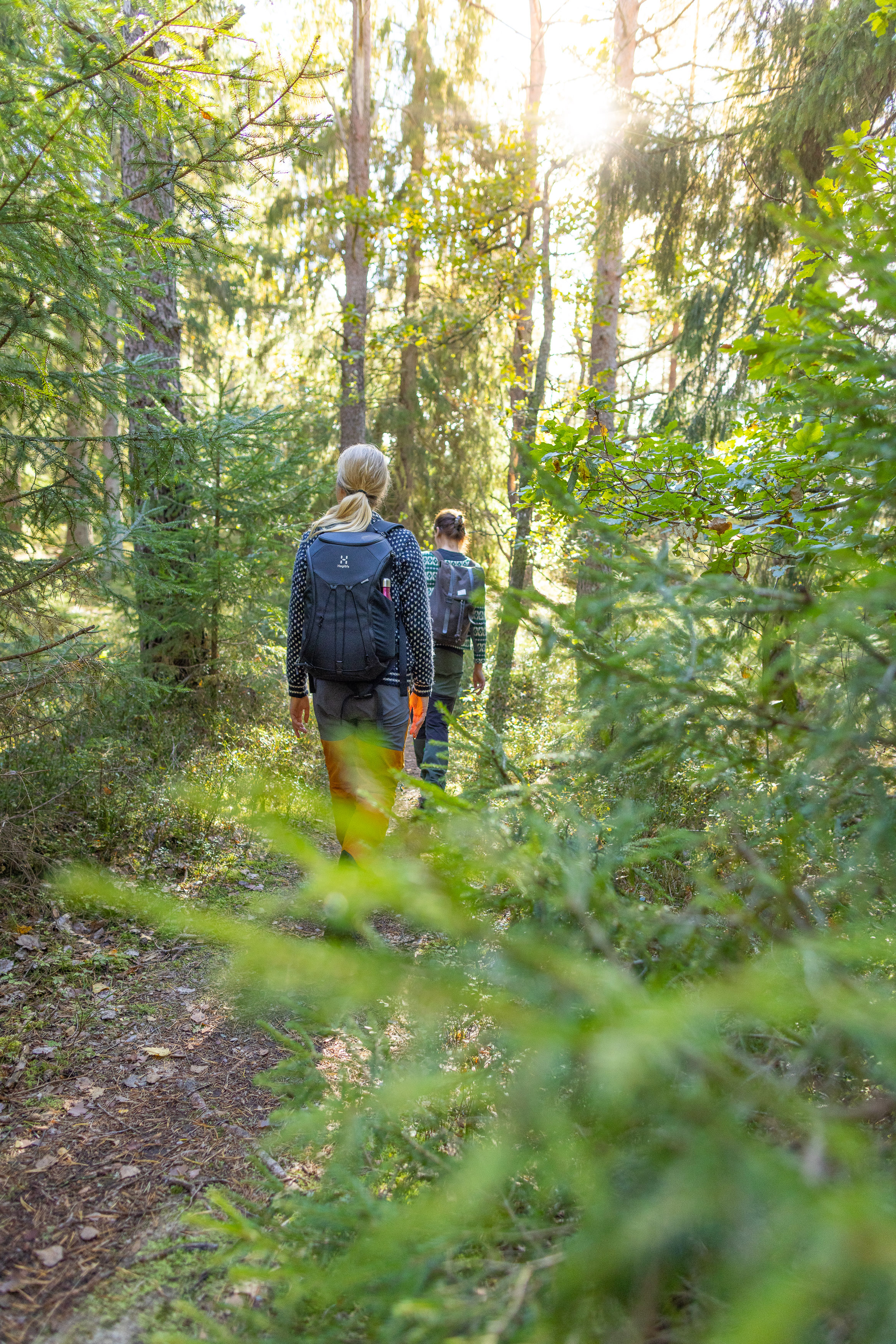 Vandring på Pilgrimsleden Göta Älv
