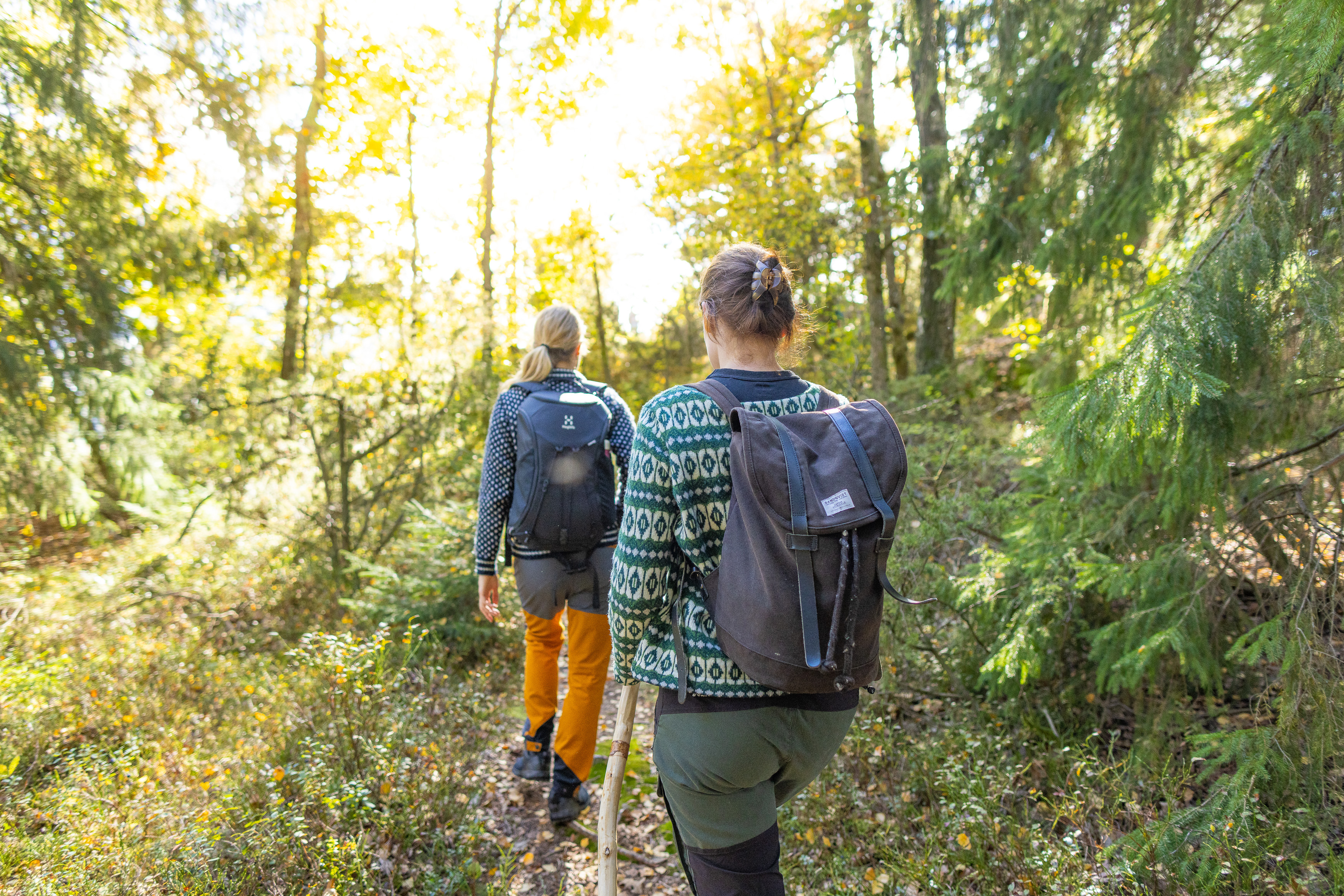 Hike along Pilgrim path