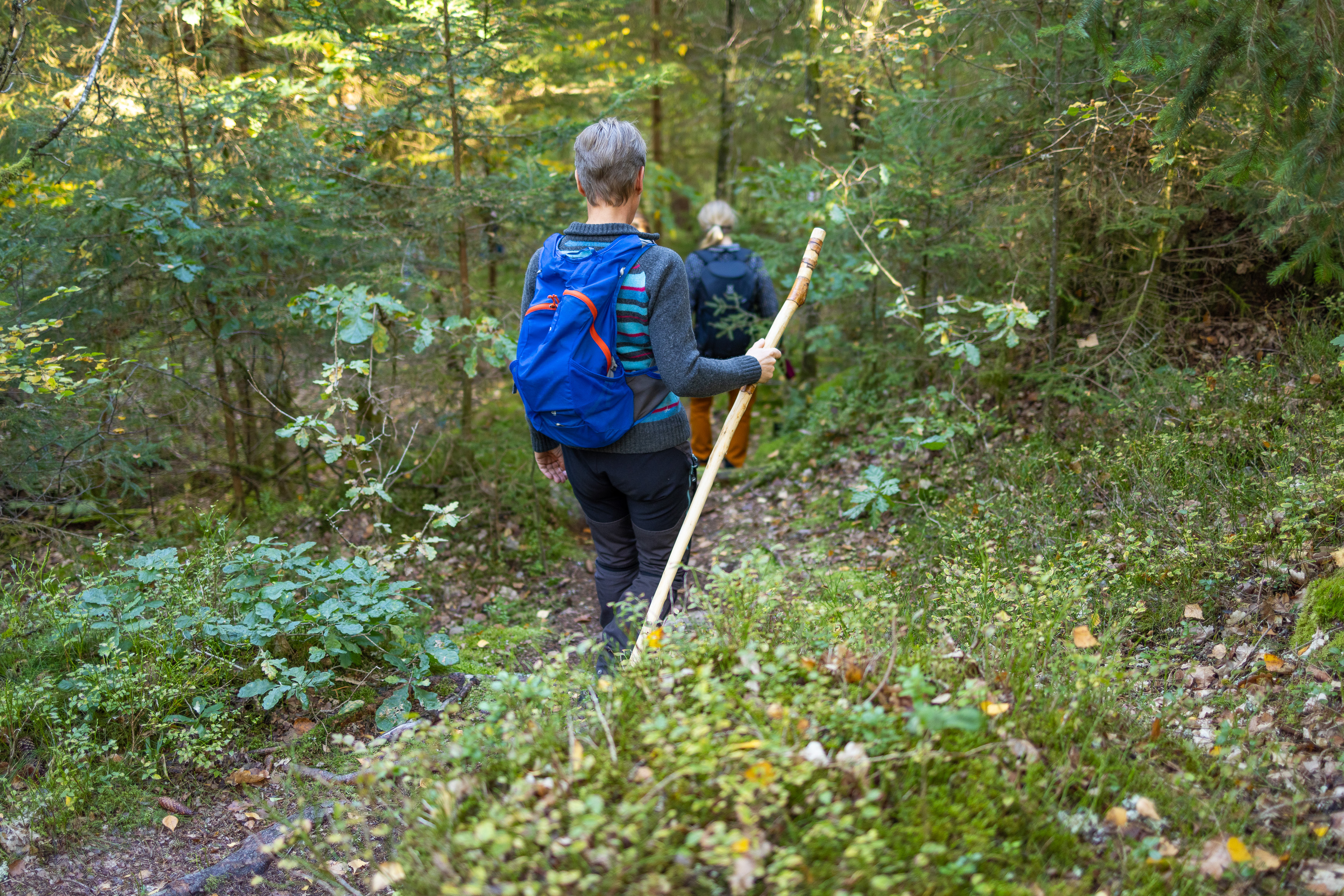 Vandring på Pilgrimsleden Göta Älv