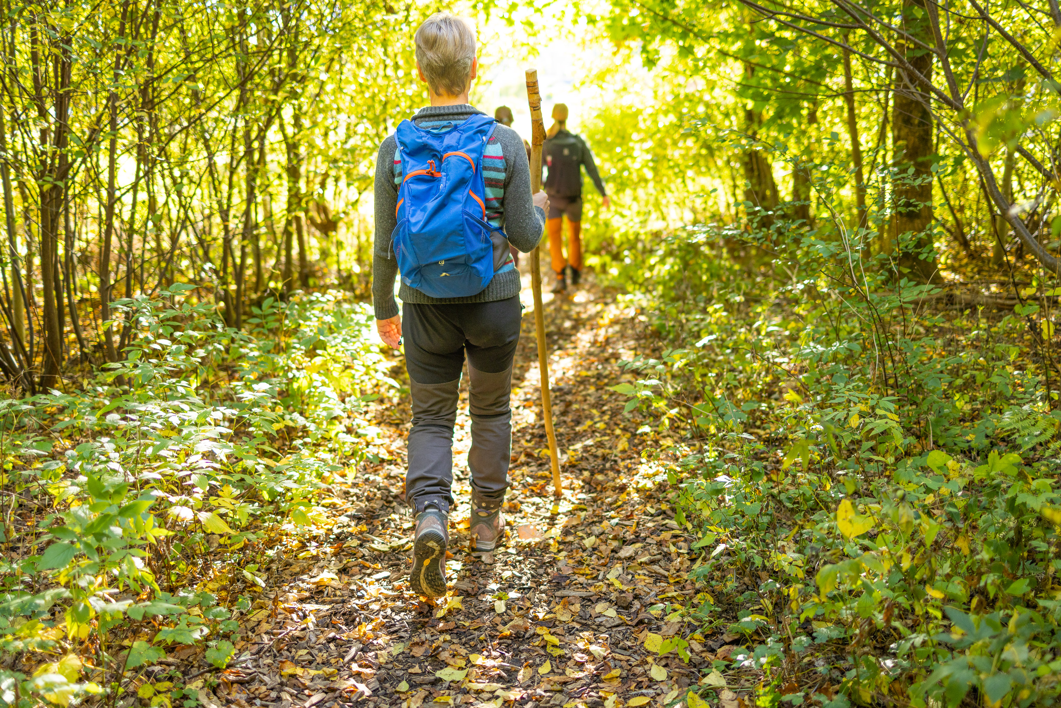 Vandring på Pilgrimsleden Göta Älv