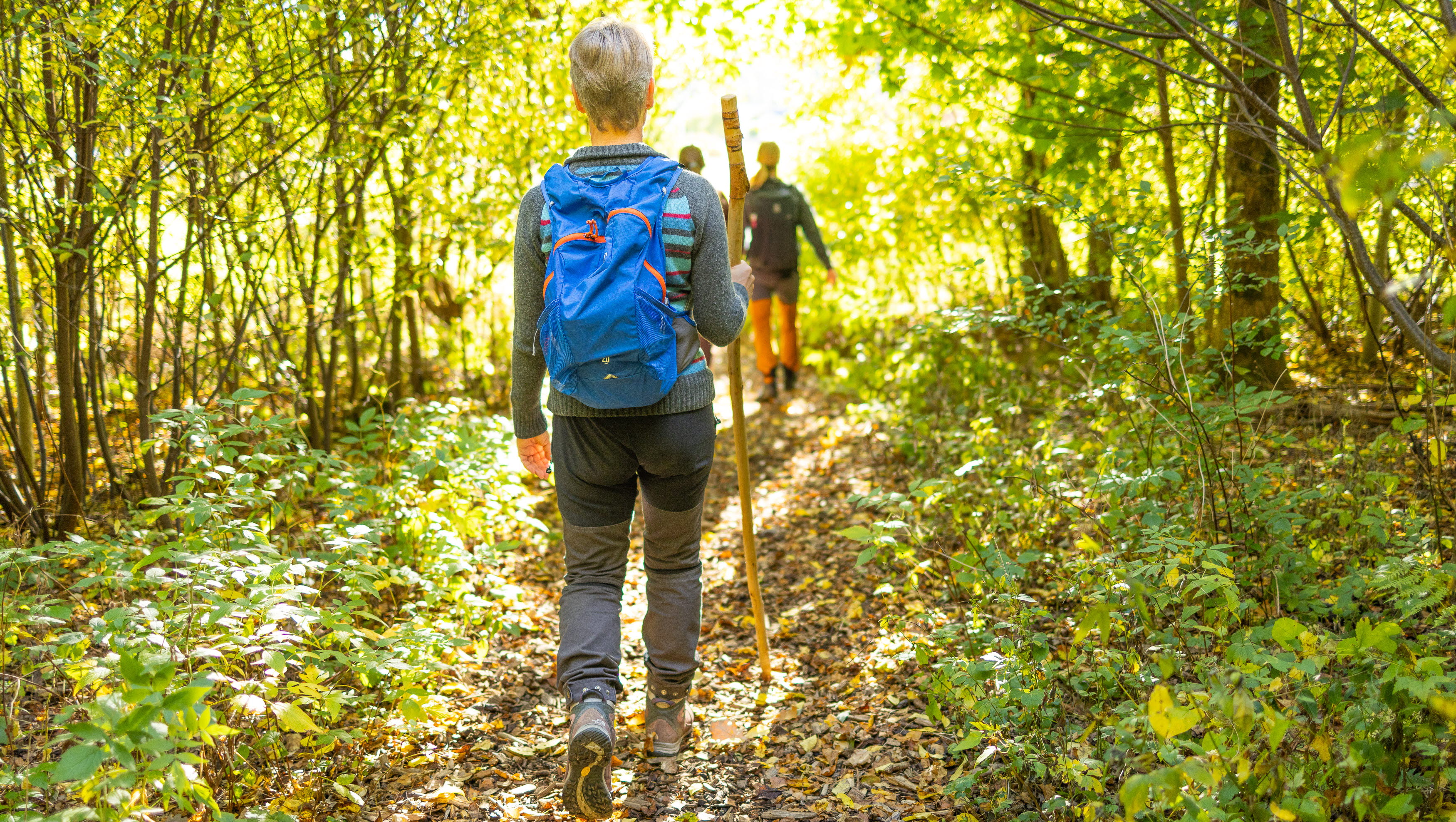 Vandring på Pilgrimsleden Göta Älv