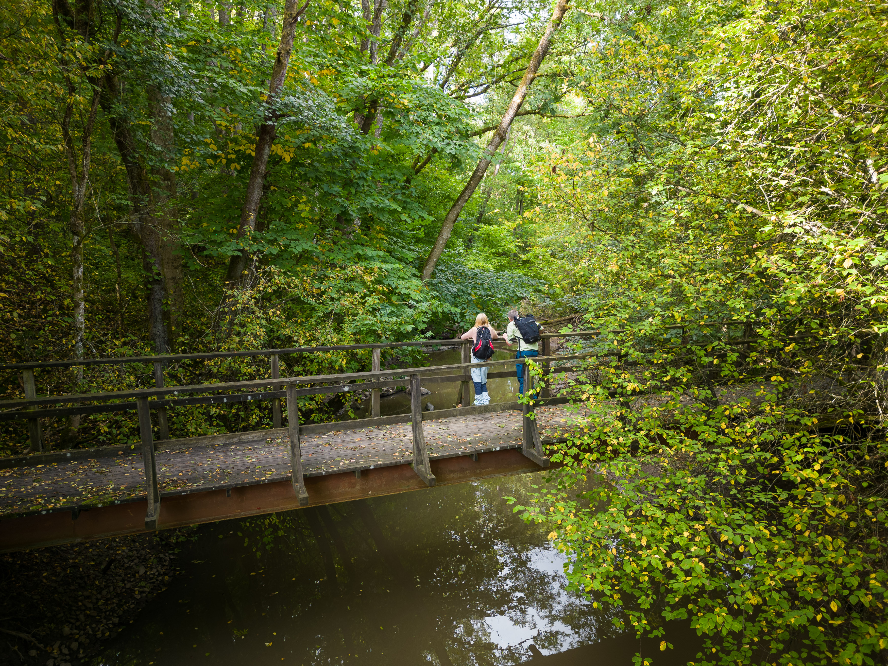 Drönarbild vid Lärjeån