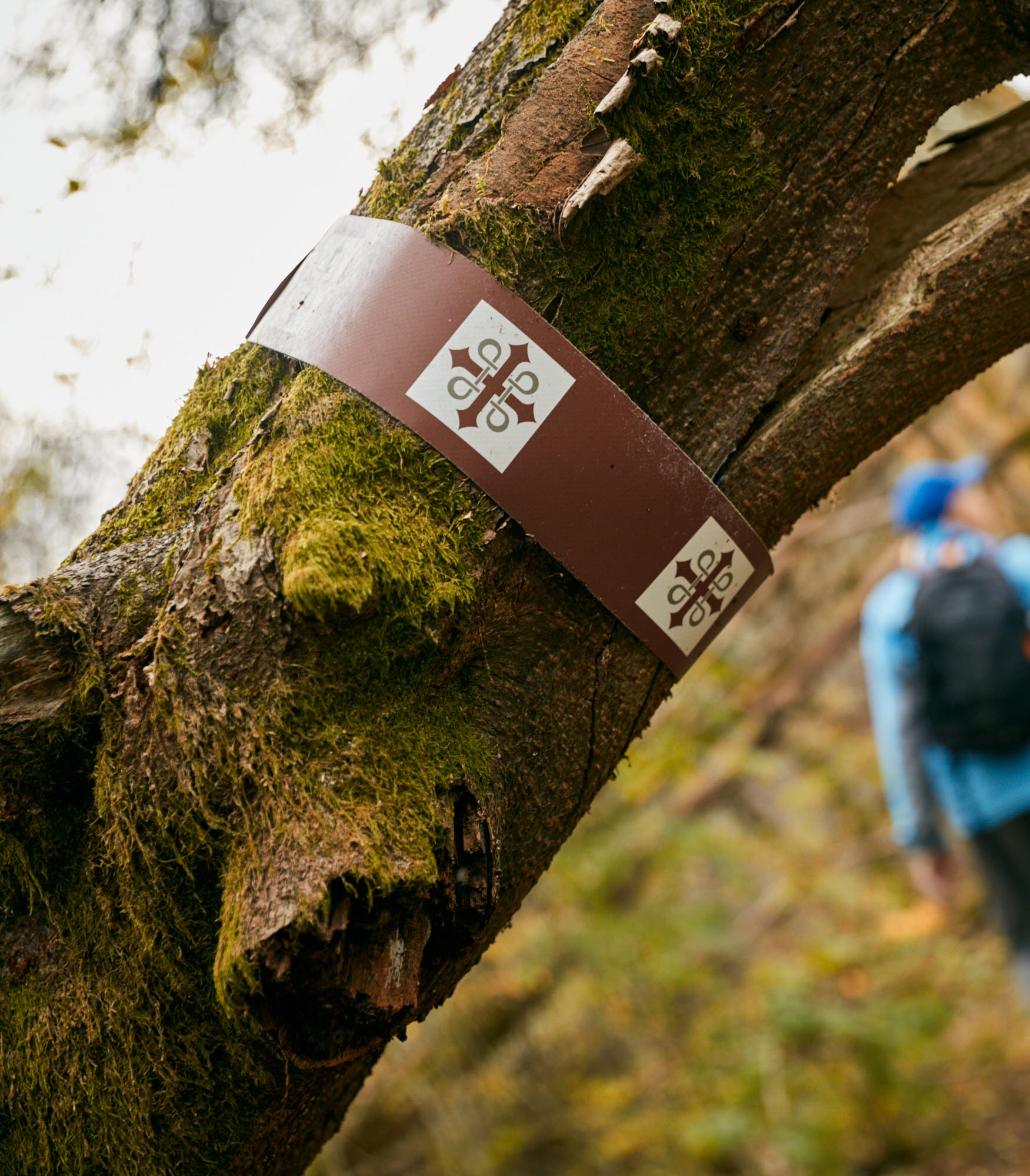 Vandring Pilgrimsleden Göta Älv