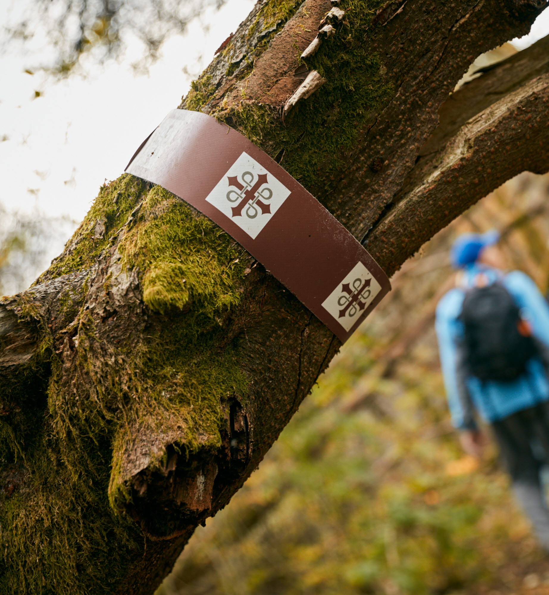 Vandring Pilgrimsleden Göta Älv