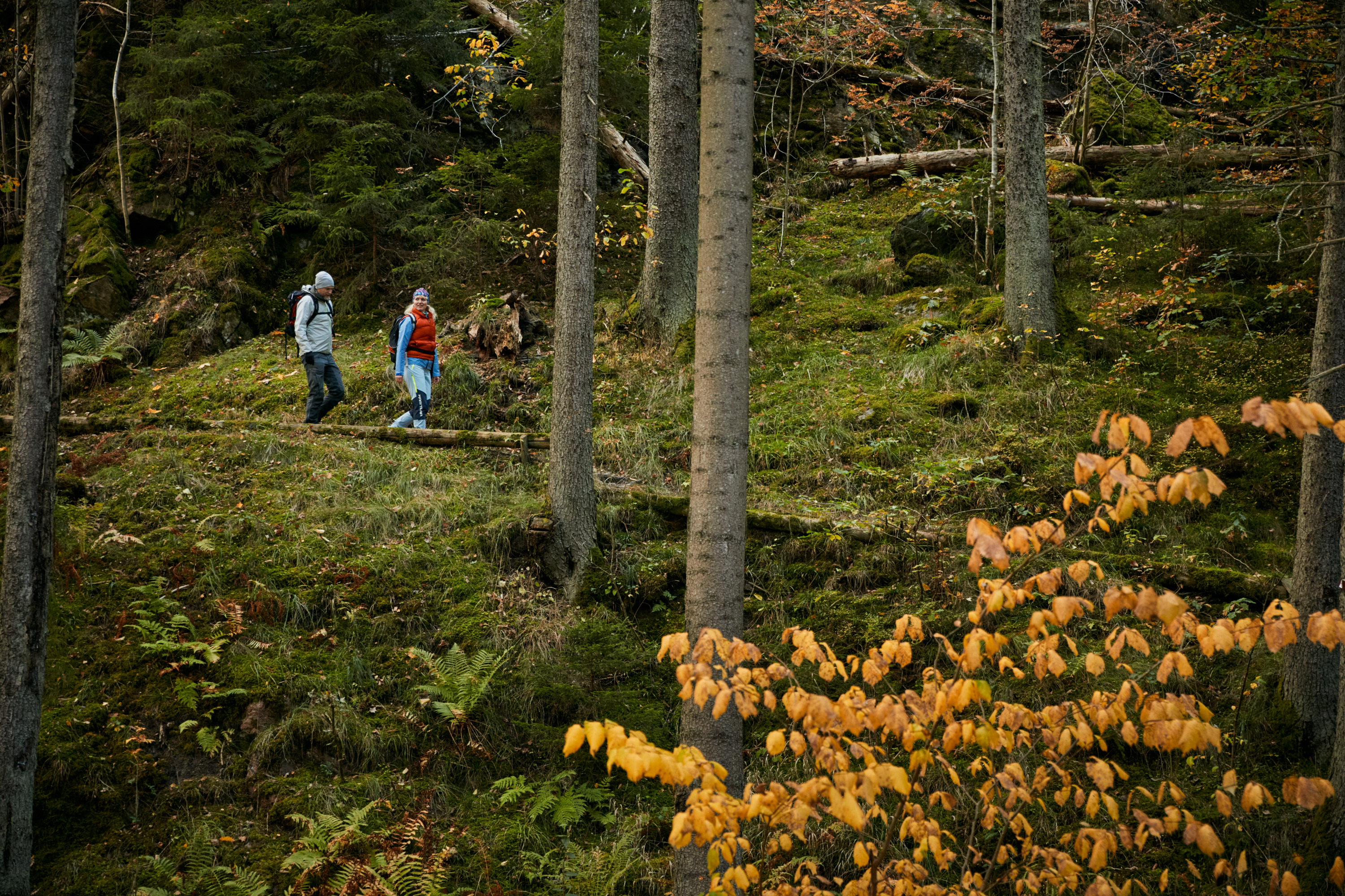 Hike at Göta älv Pilgrim Trail