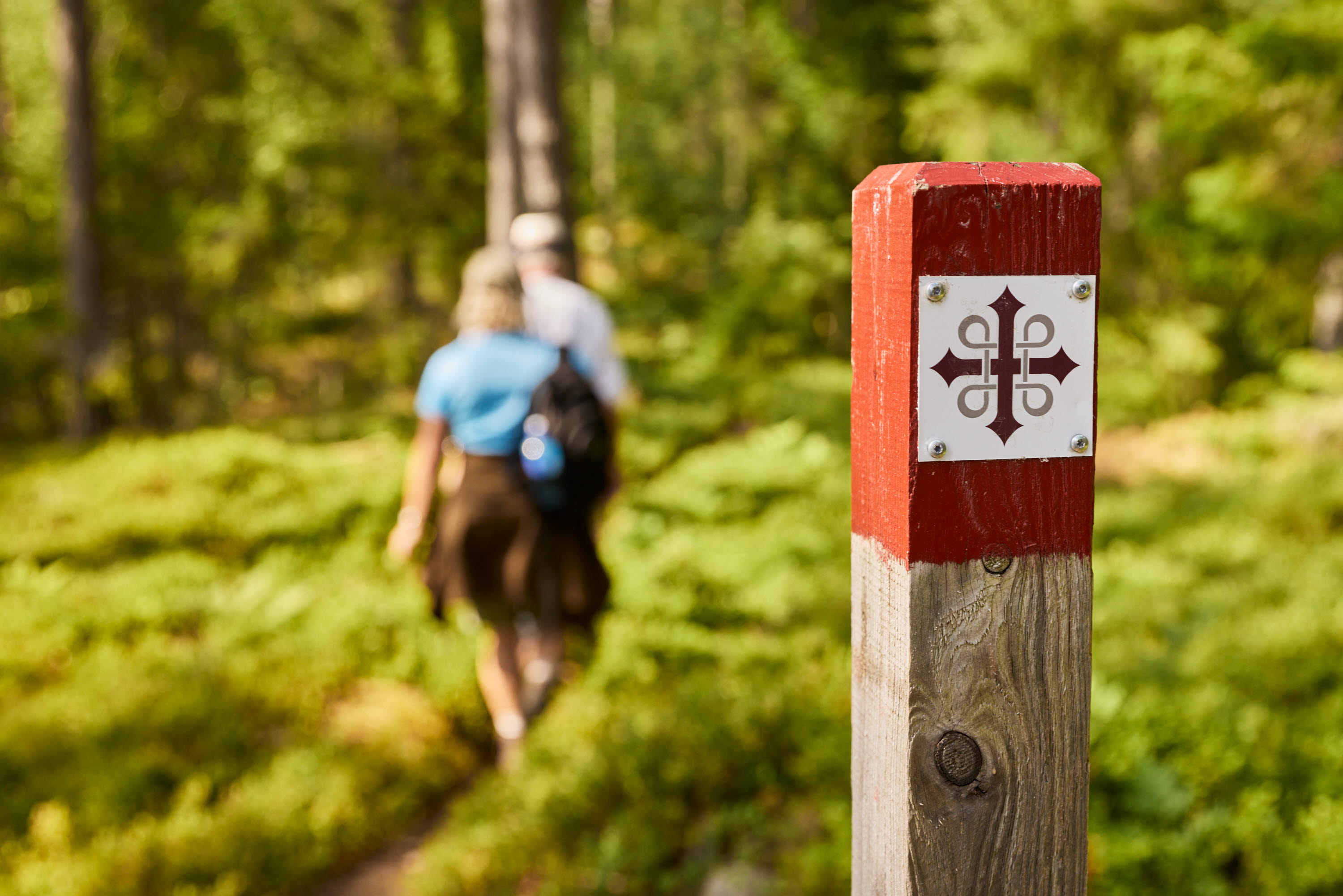 Two people walking in the forest.