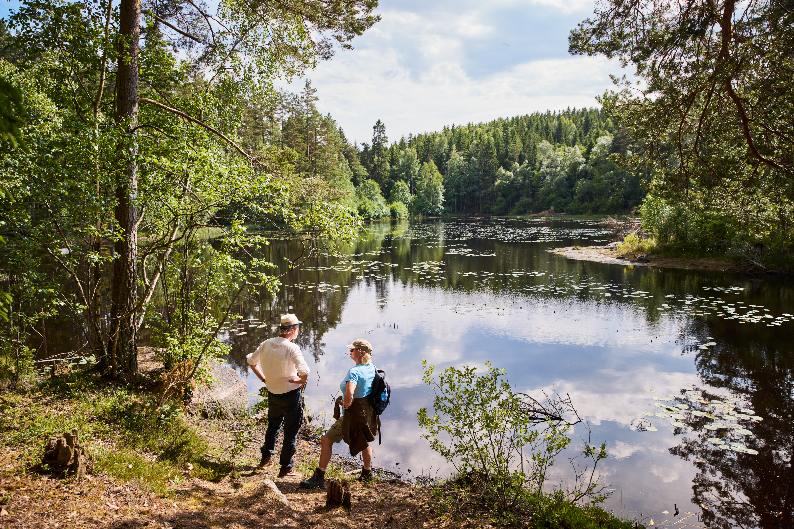 Two people walking in the forest.