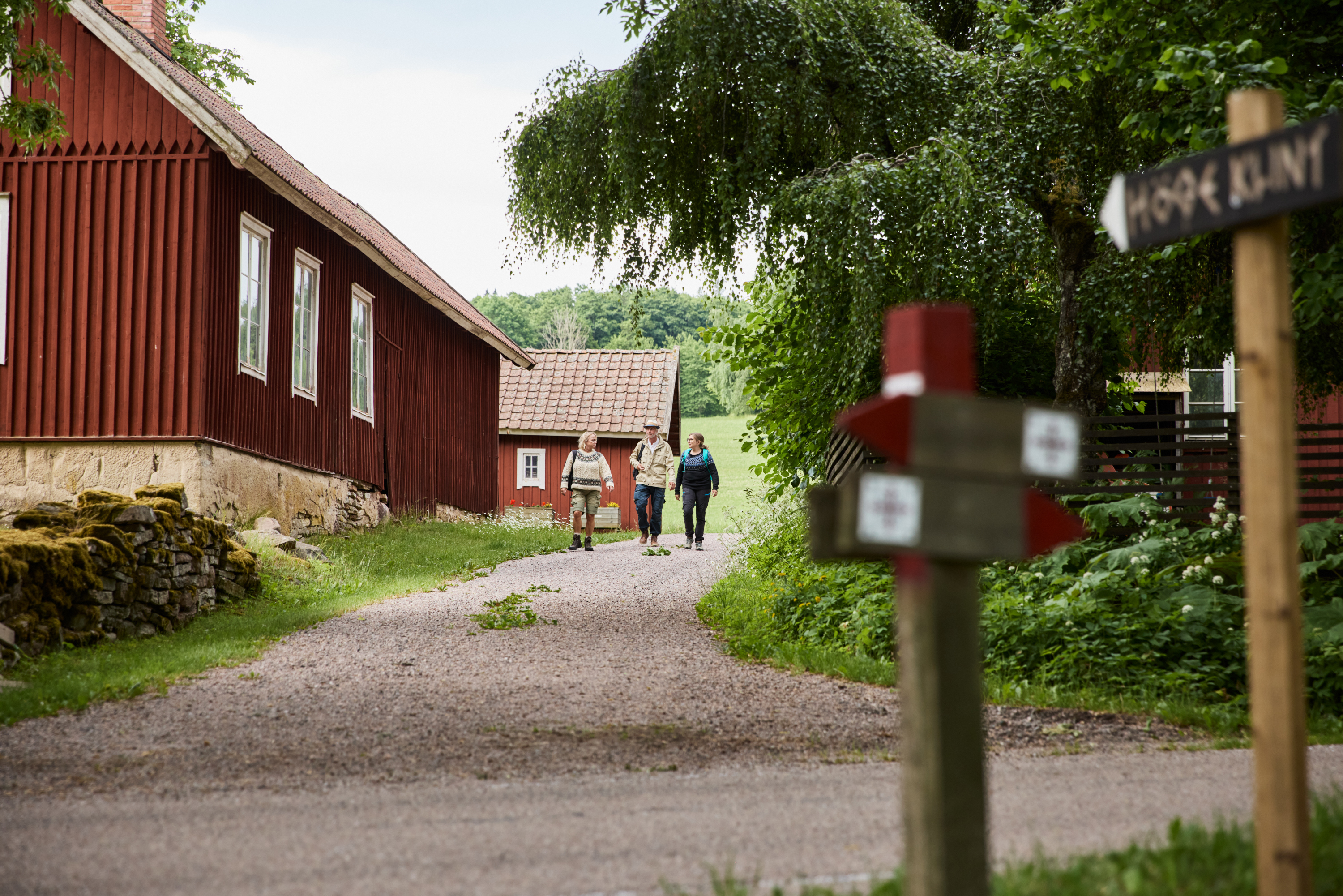 People walking on a gravel road.