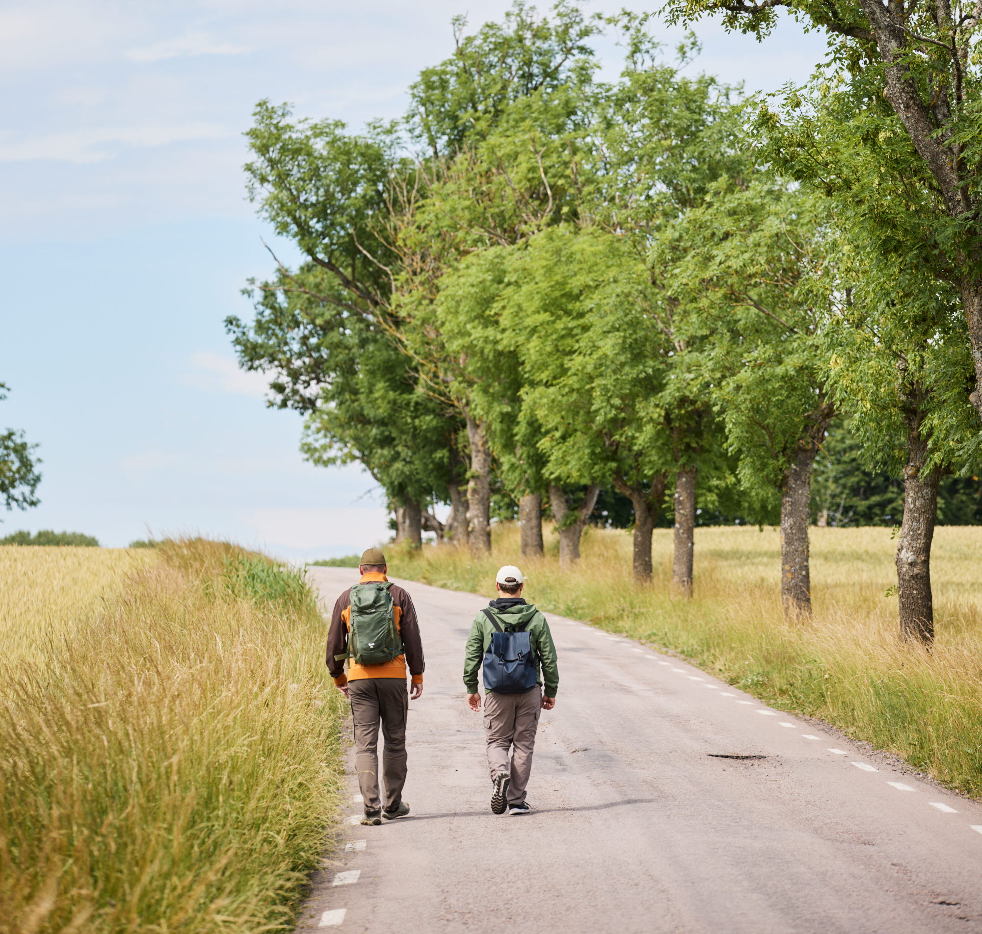 People hiking.