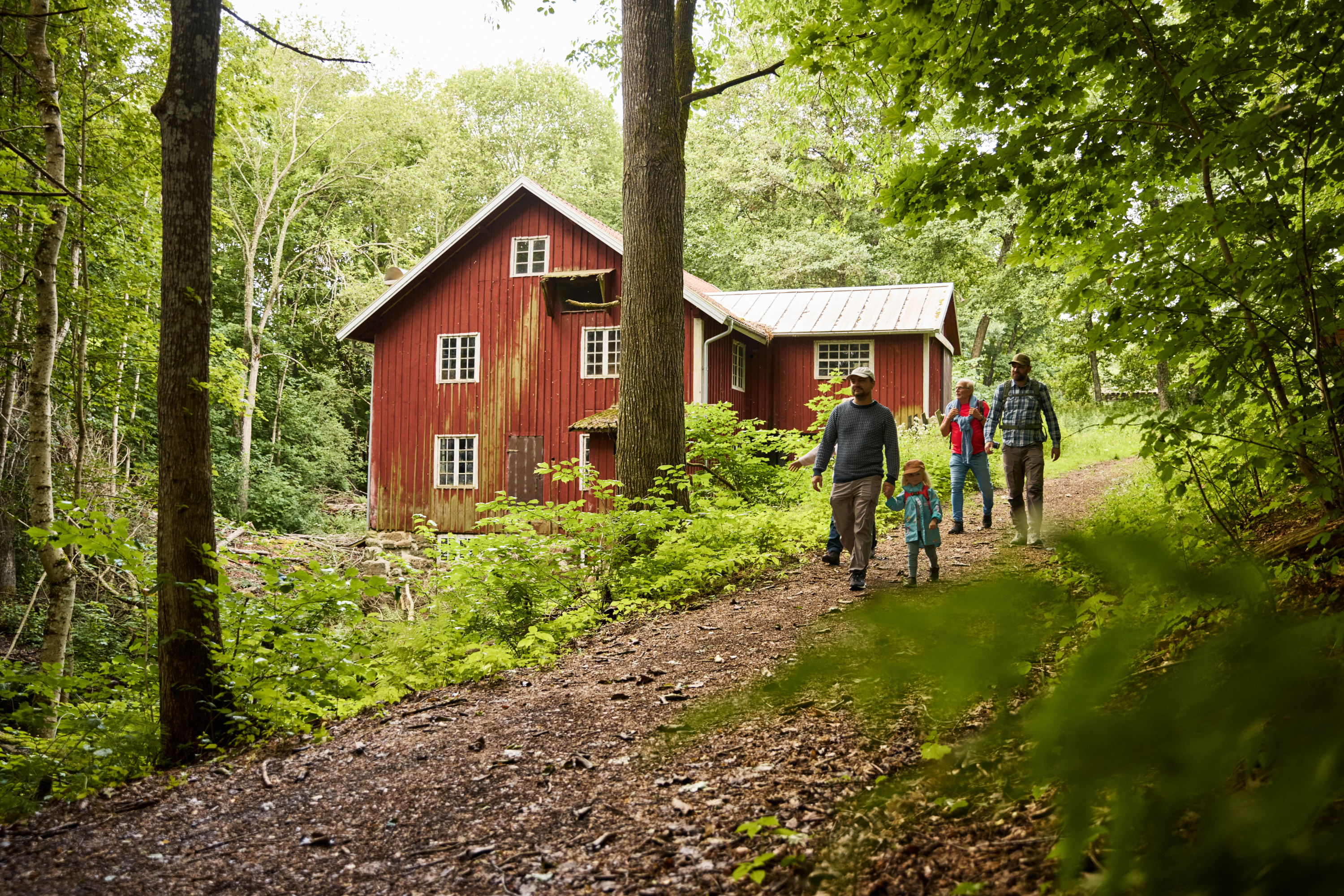 People walking in lush nature.