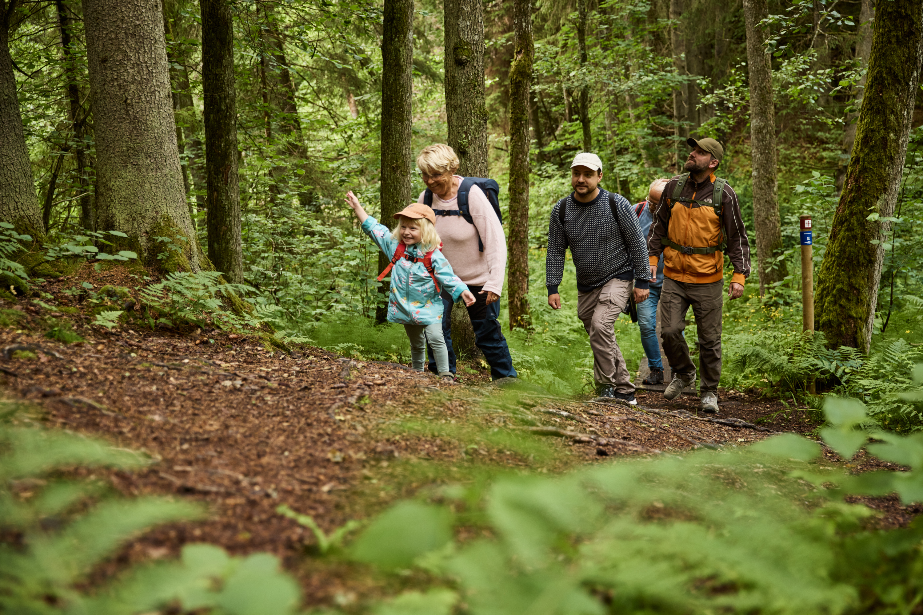 Människor som vandrar i lummig natur. 