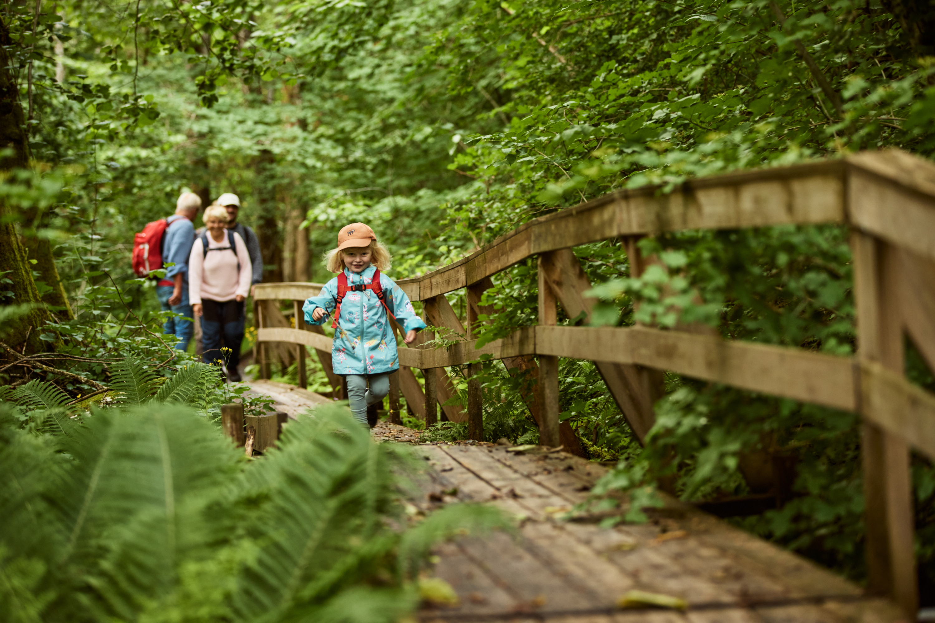 Människor som vandrar i lummig natur. 