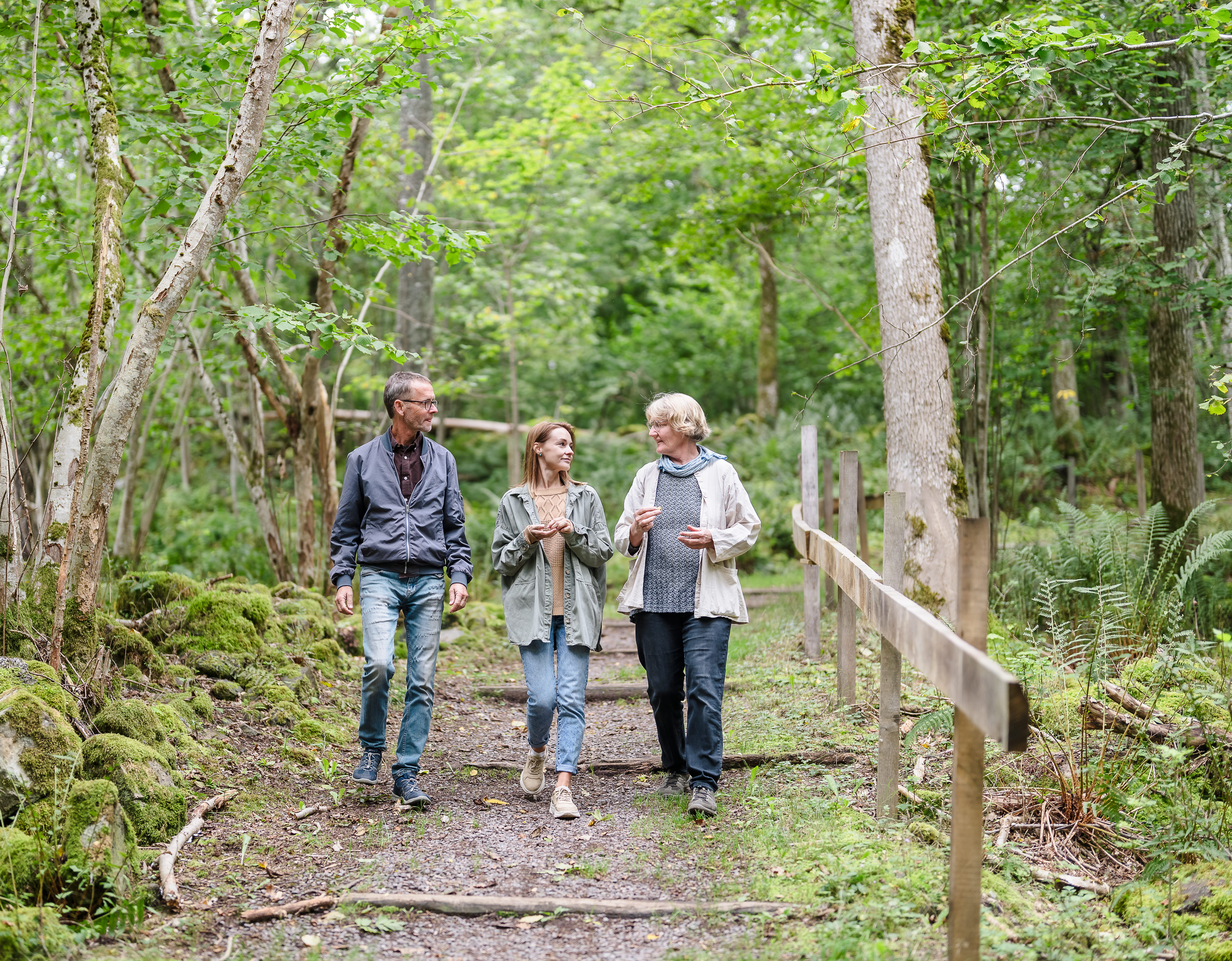 Three people are walking on a forest path.