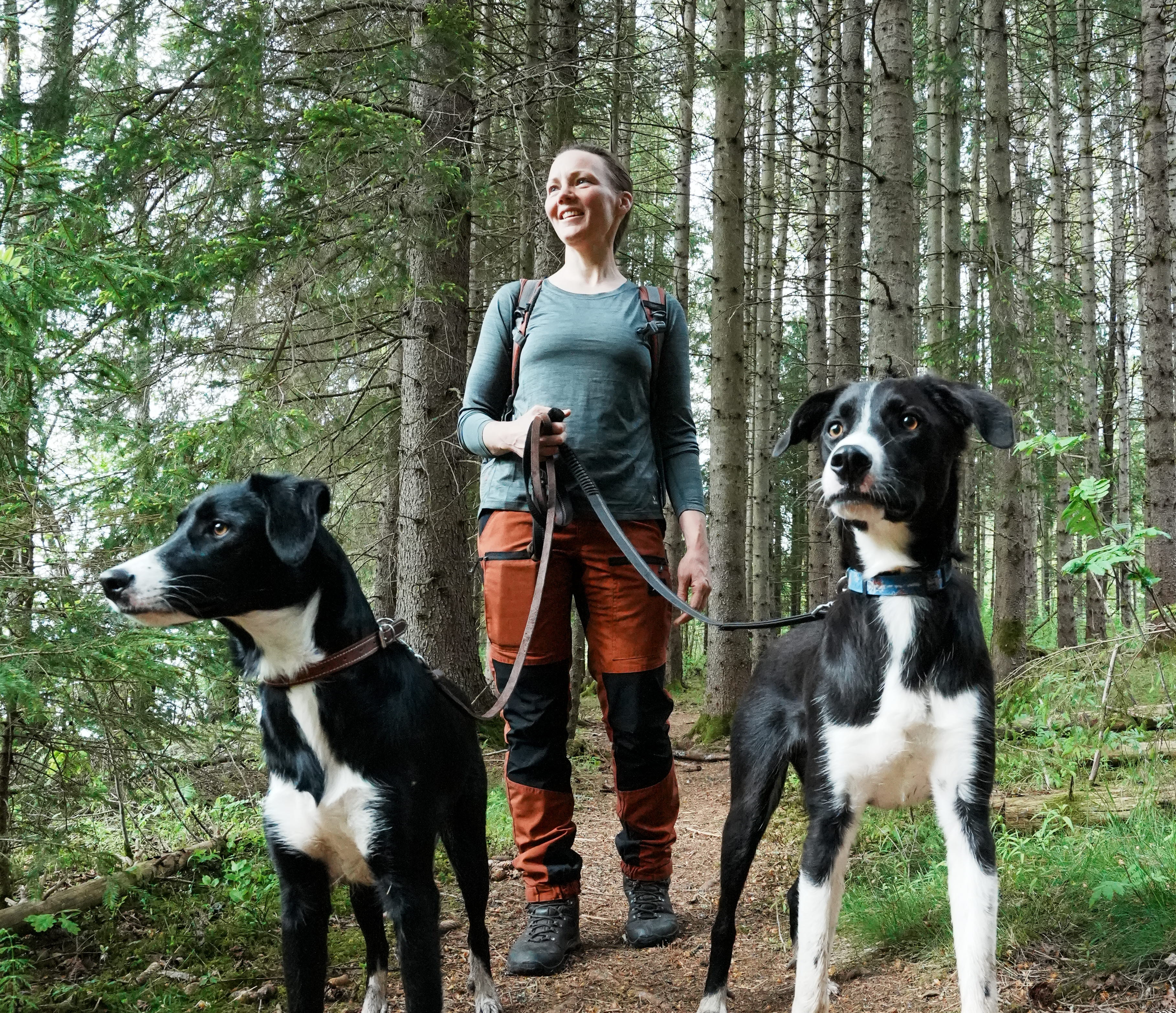 Hundar och kvinna på promenad vid Ragnerudsjön & Kroppefjäll