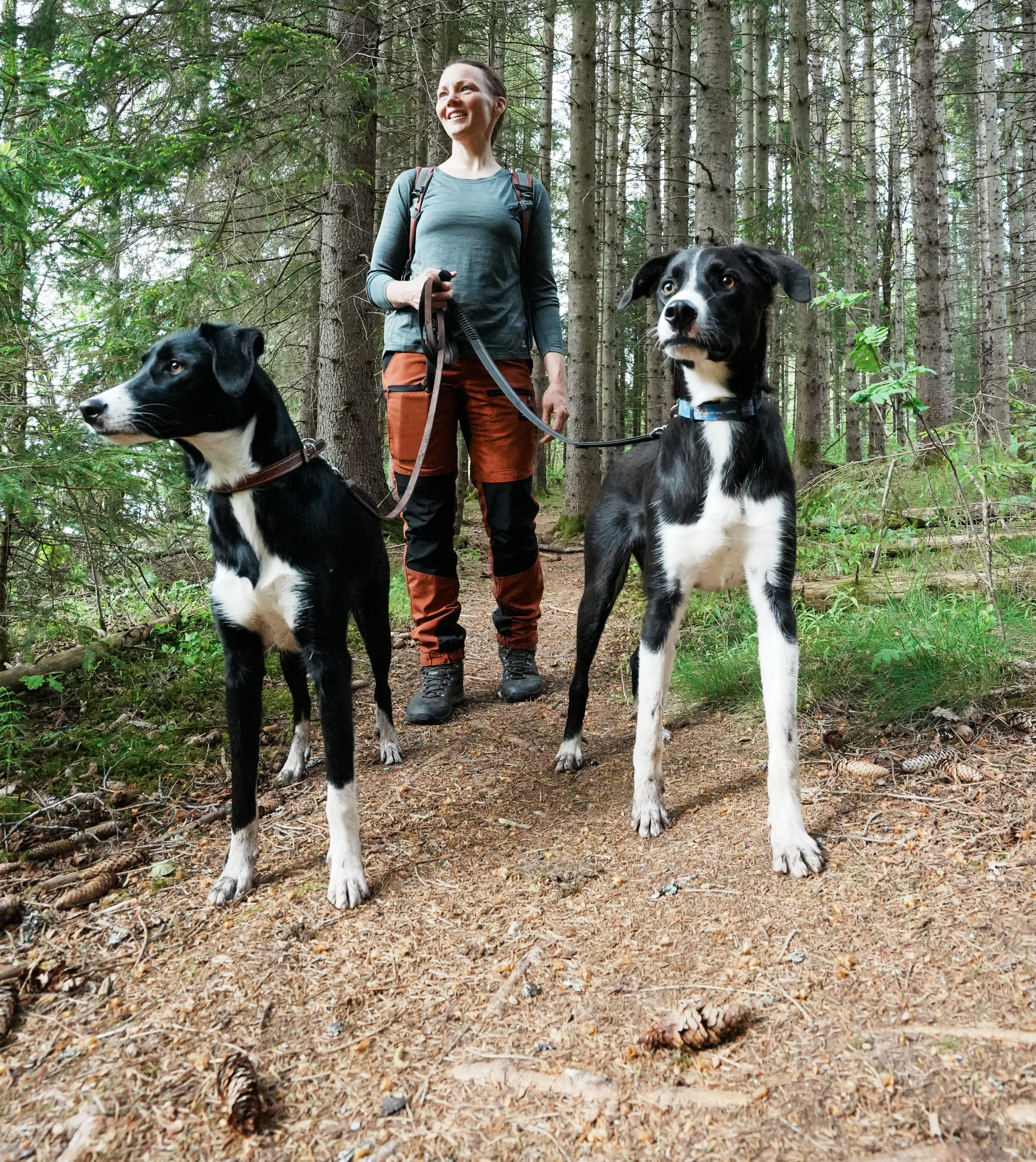 Awoman with dogs visiting Ragnerudsjön & Kroppefjäll