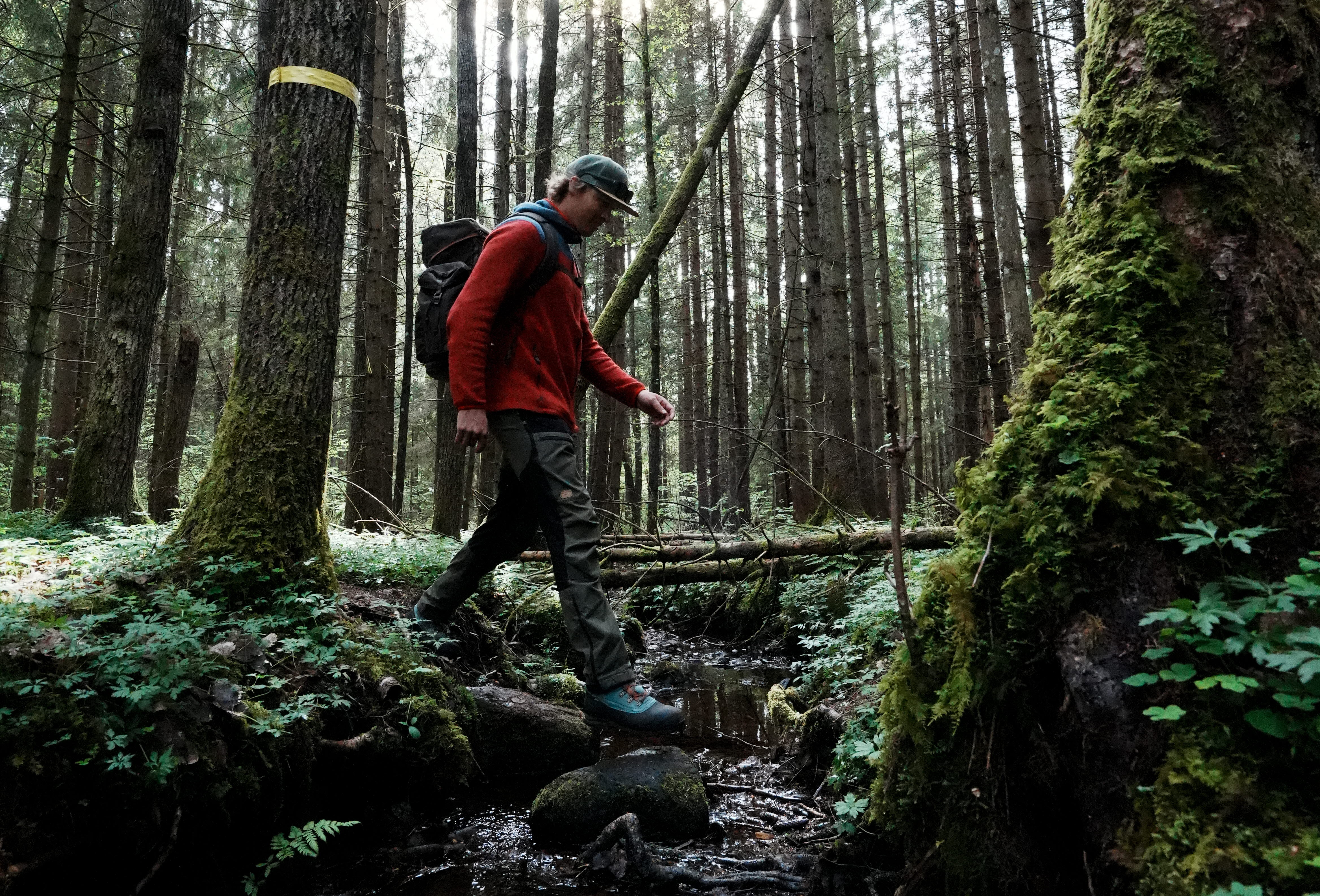 Naturen runt Ragnerudsjön & Kroppefjäll