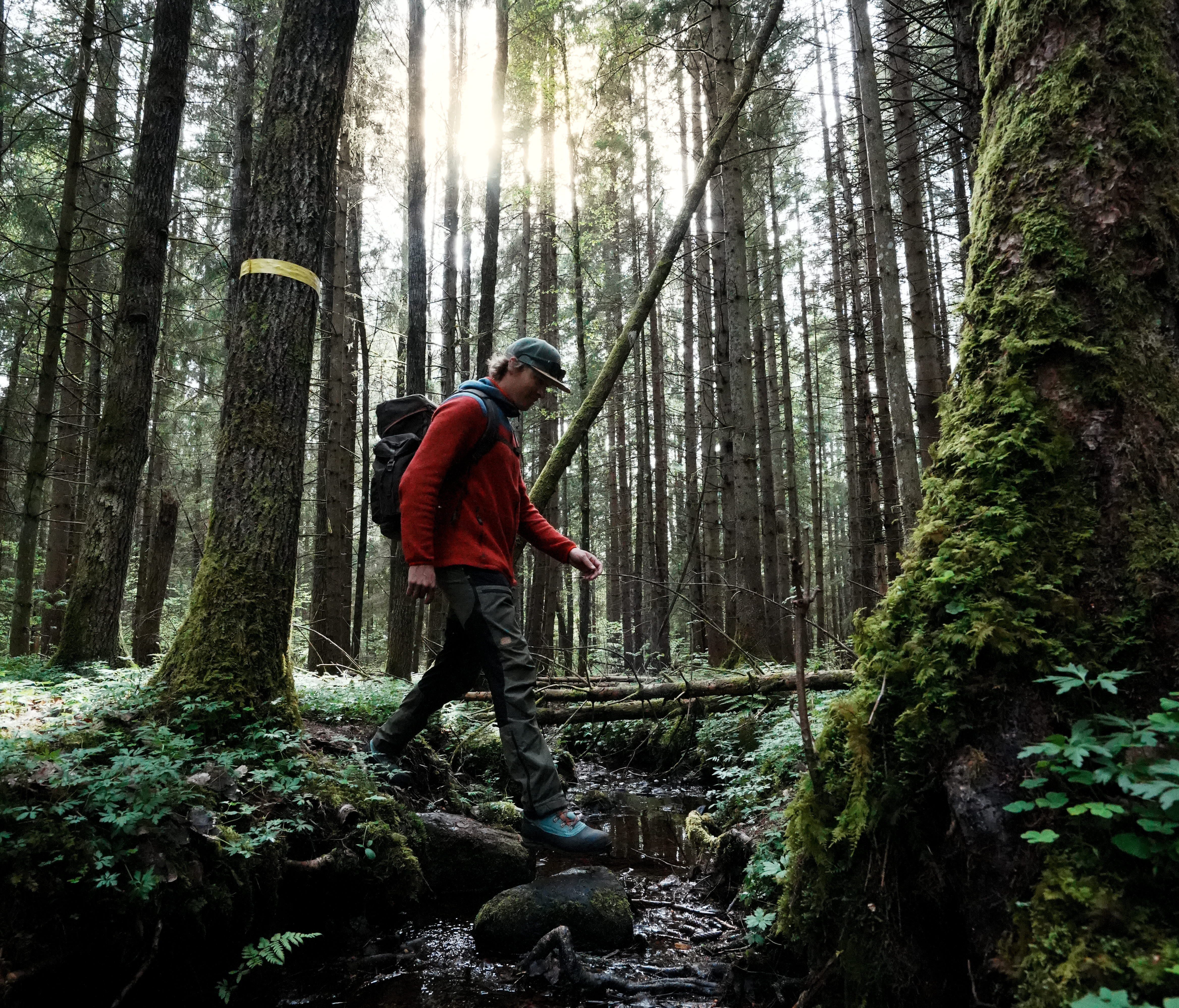Naturen runt Ragnerudsjön & Kroppefjäll