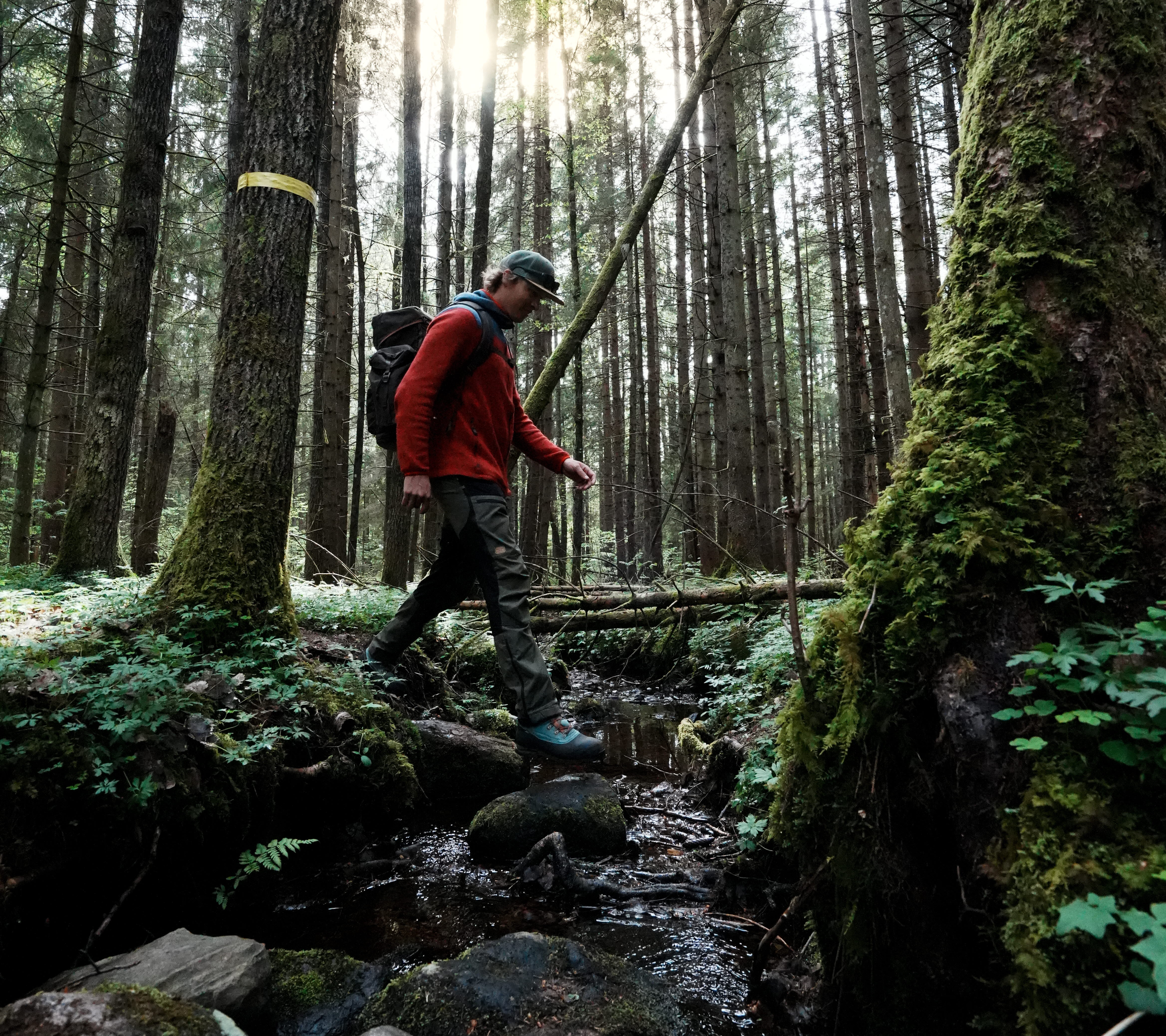 Nature by Ragnerudsjön & Kroppefjäll