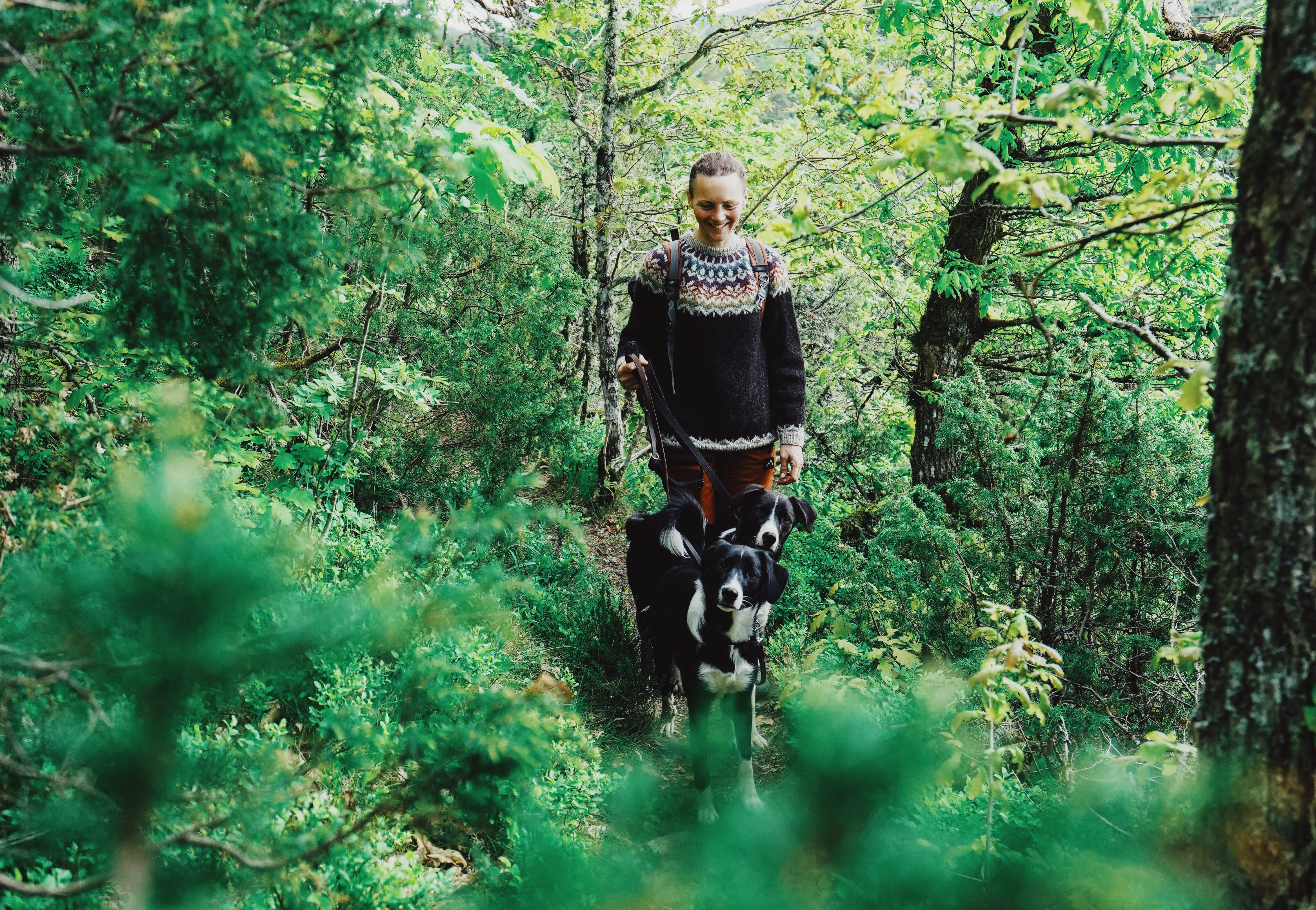 Hundar och kvinna på promenad vid Ragnerudsjön & Kroppefjäll