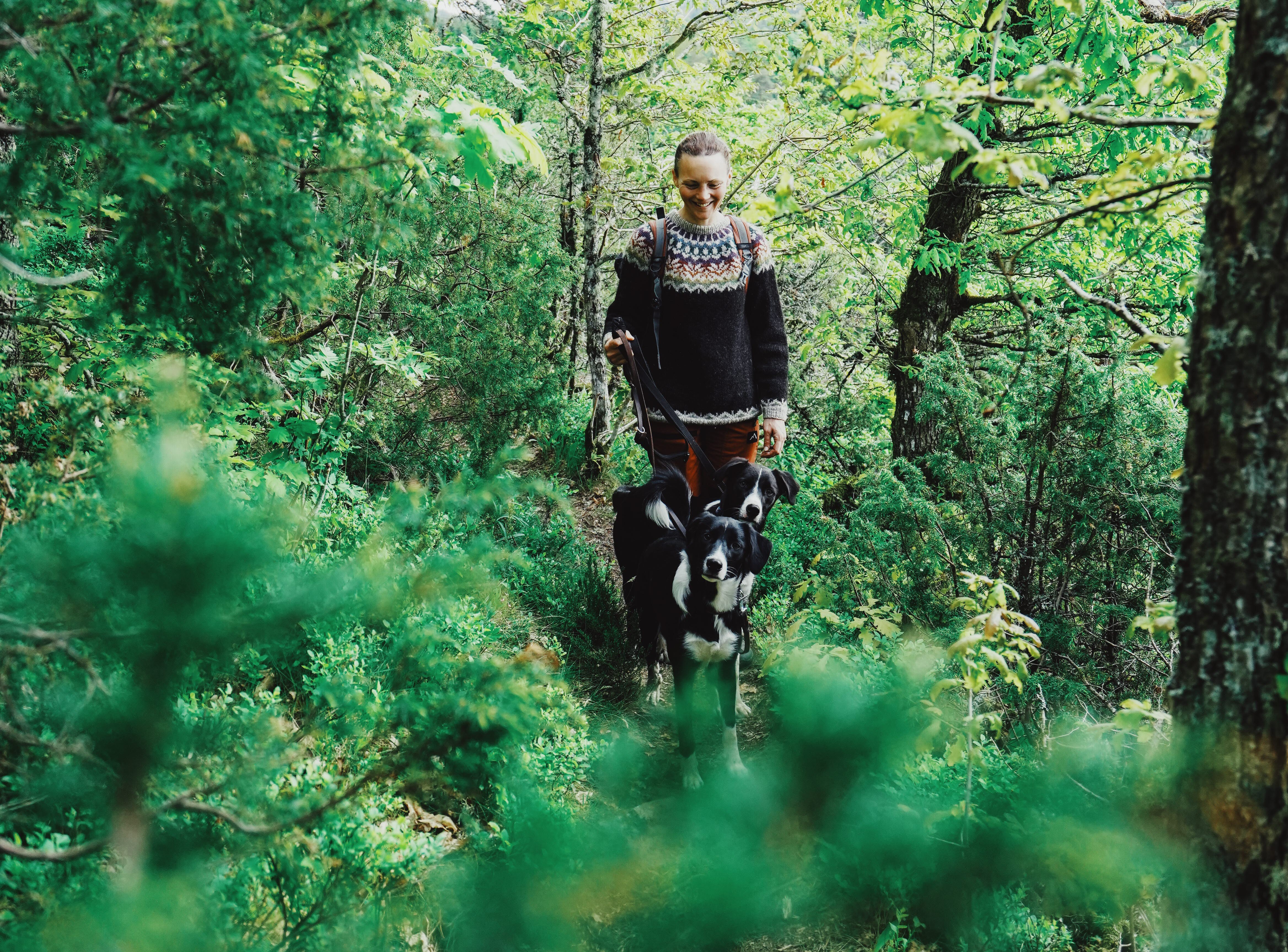 Hundar och kvinna på promenad vid Ragnerudsjön & Kroppefjäll