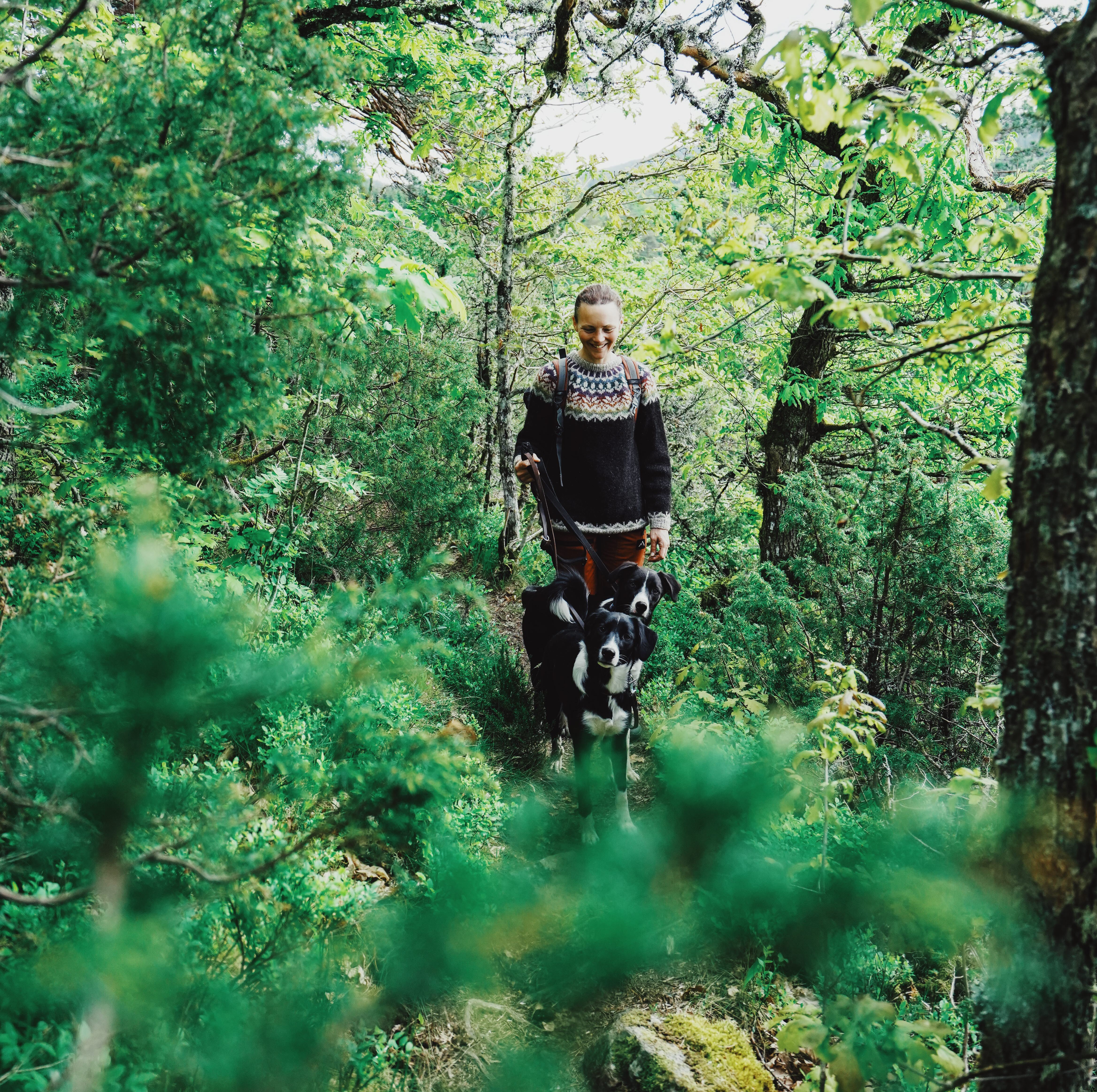 Hundar och kvinna på promenad vid Ragnerudsjön & Kroppefjäll