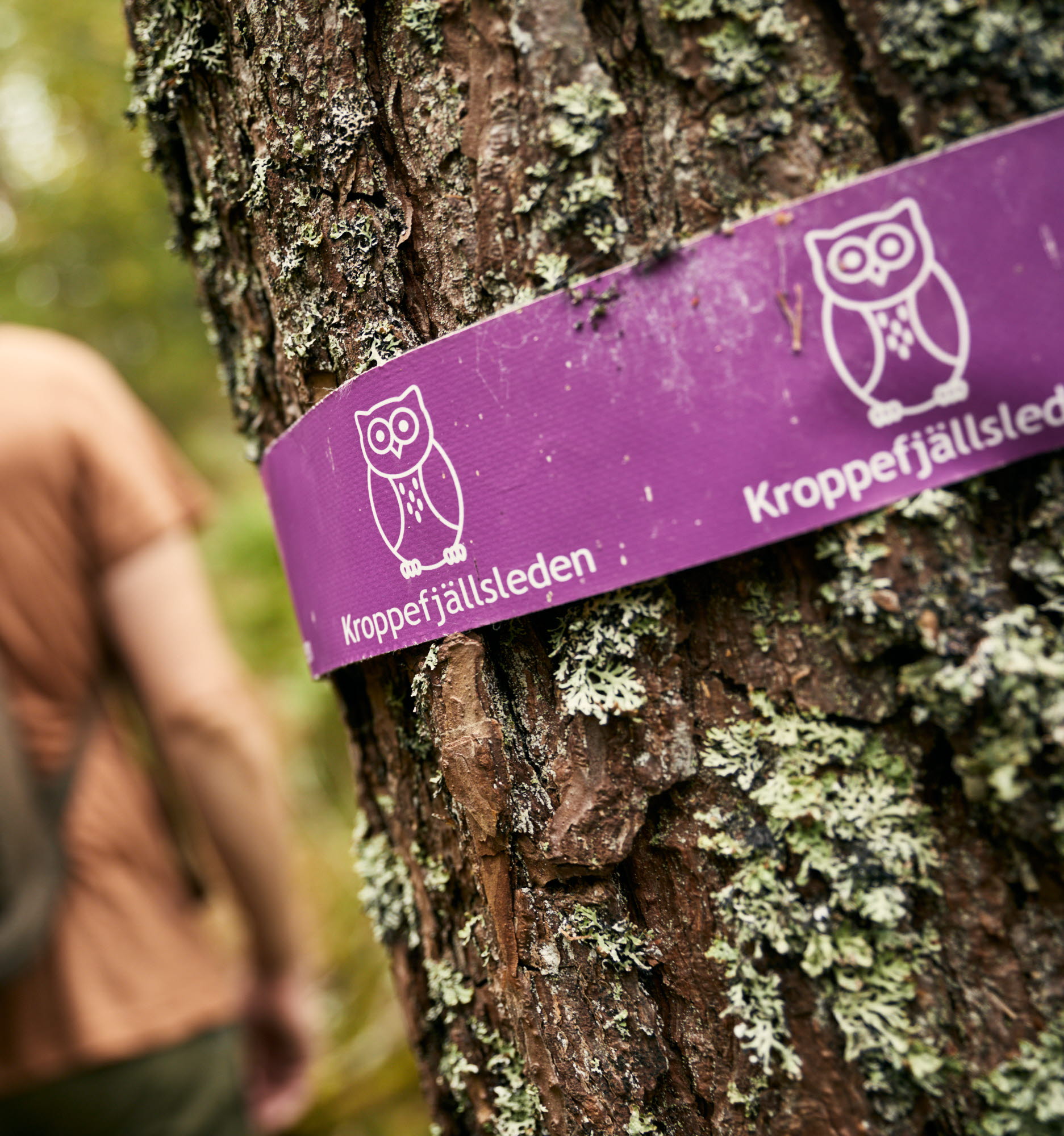 Ragnerud Vandringsdestination