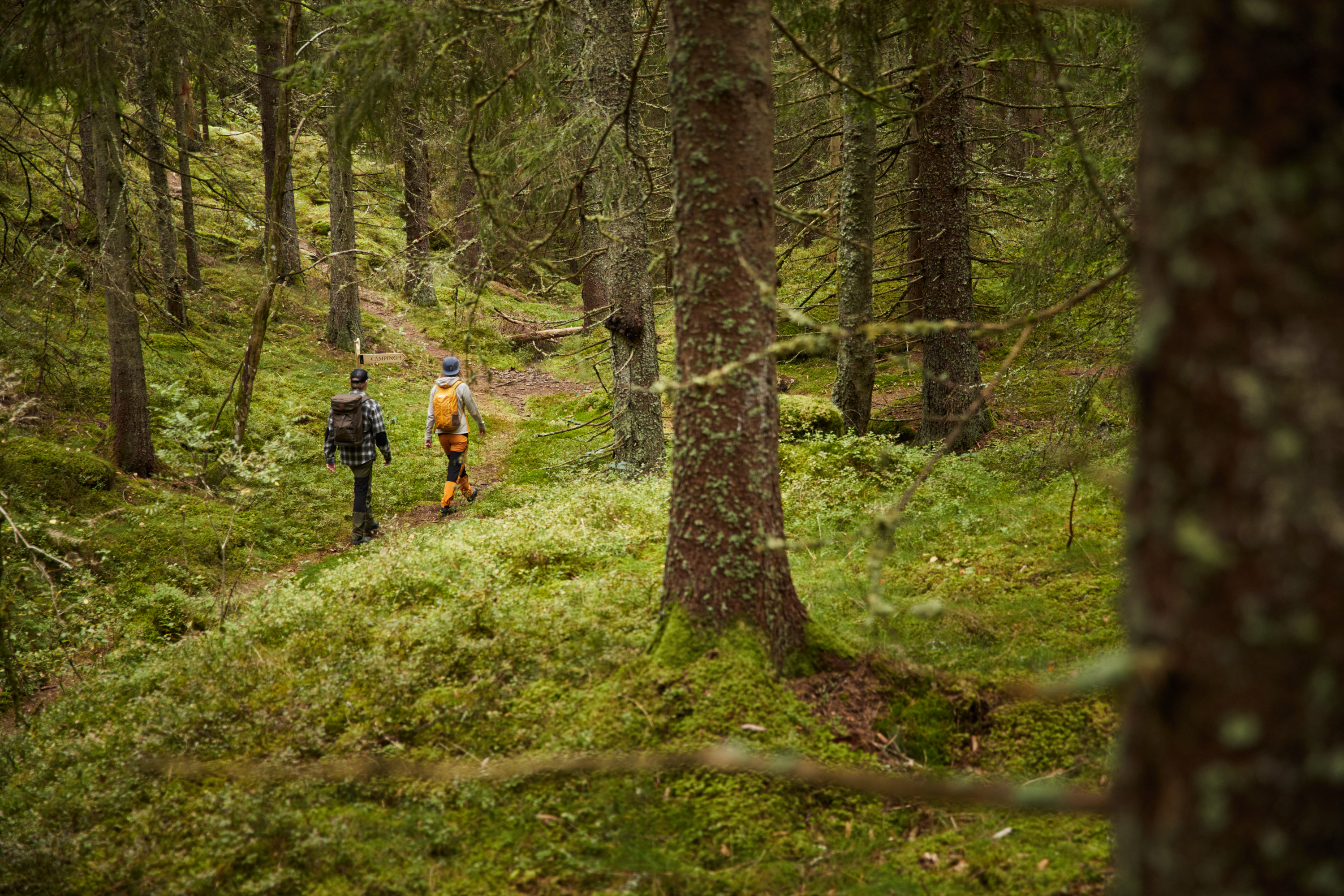 Ragnerud Vandringsdestination