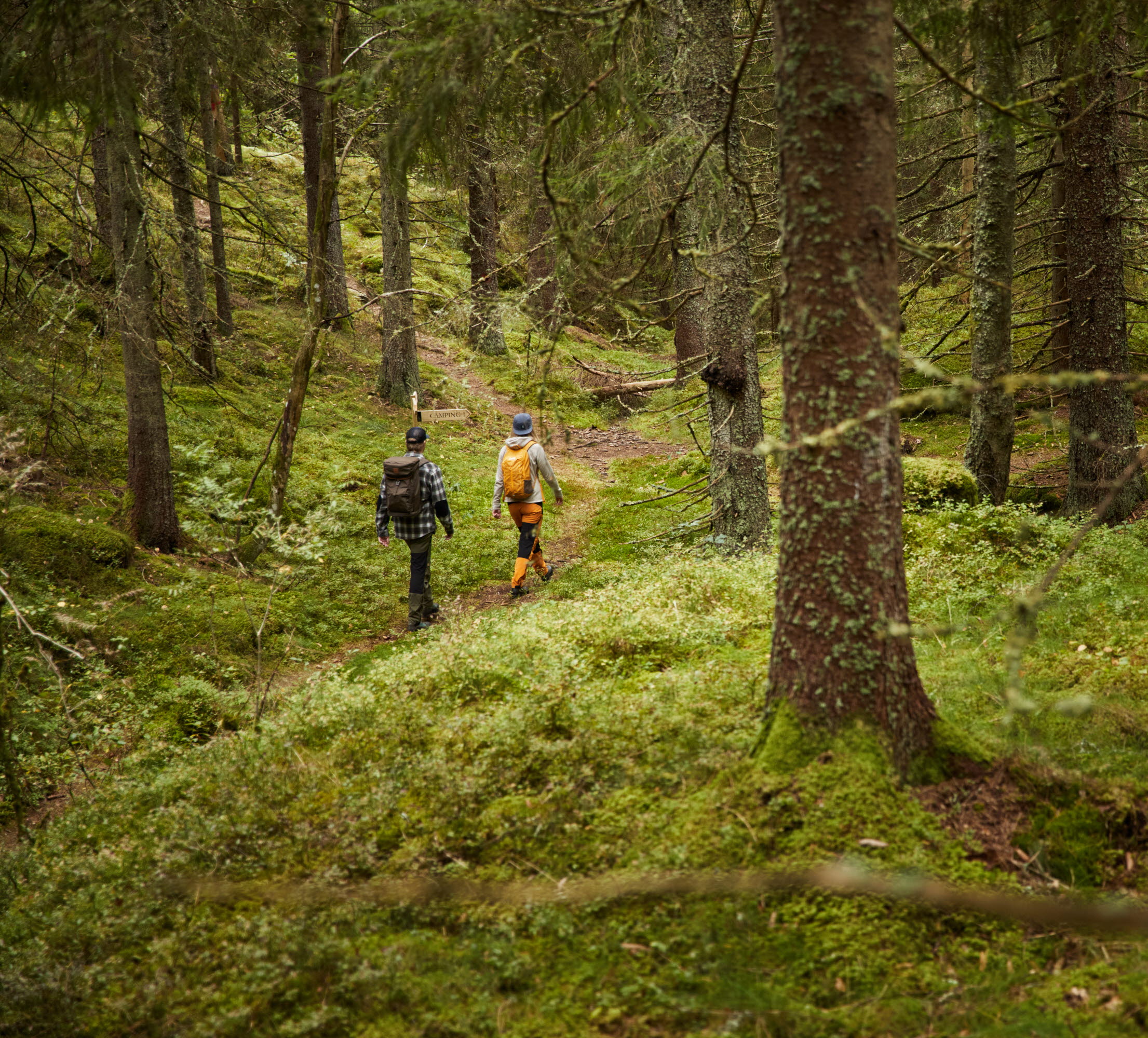 Ragnerud Vandringsdestination