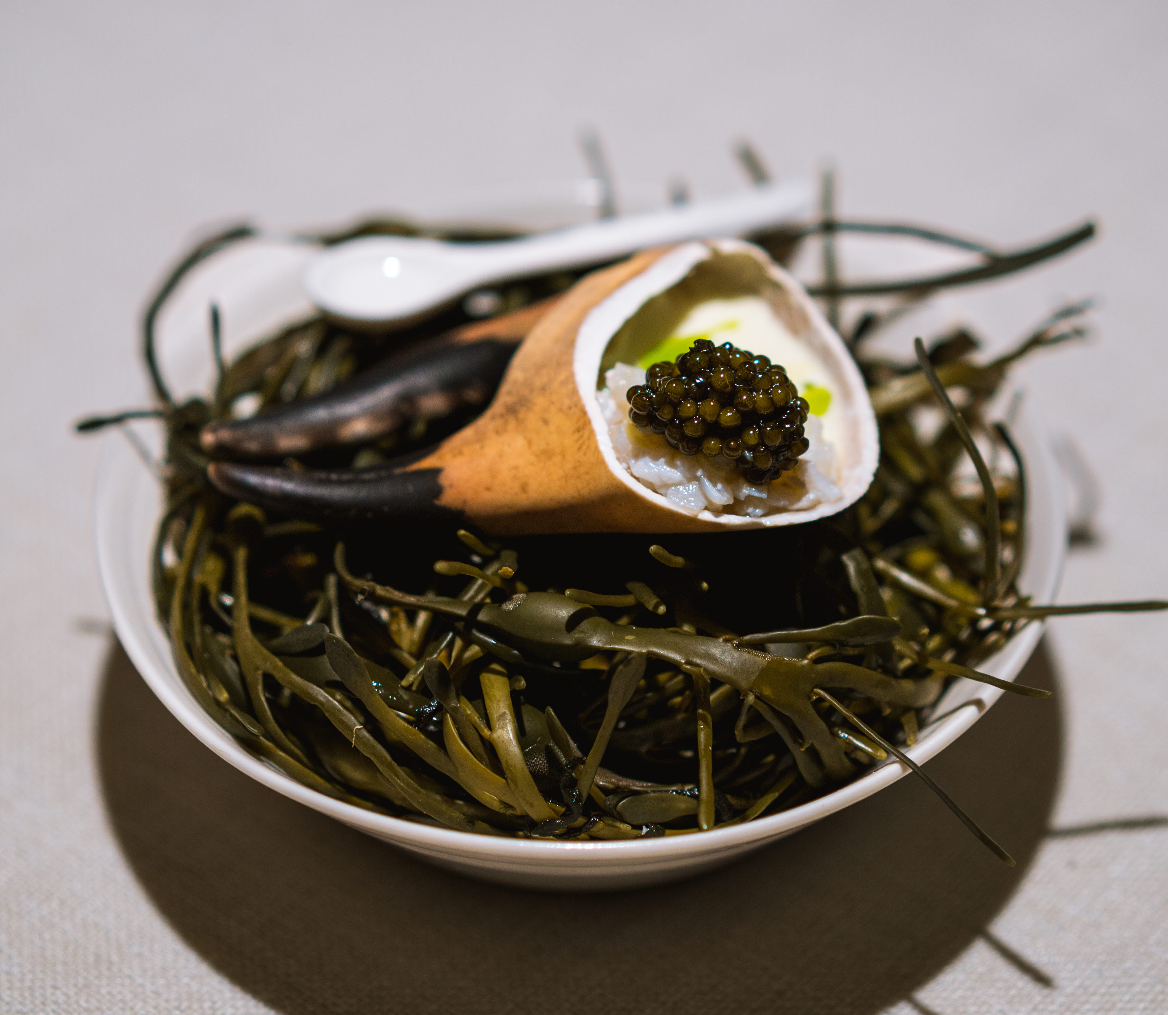 Maträtt upplagd på tallrik.