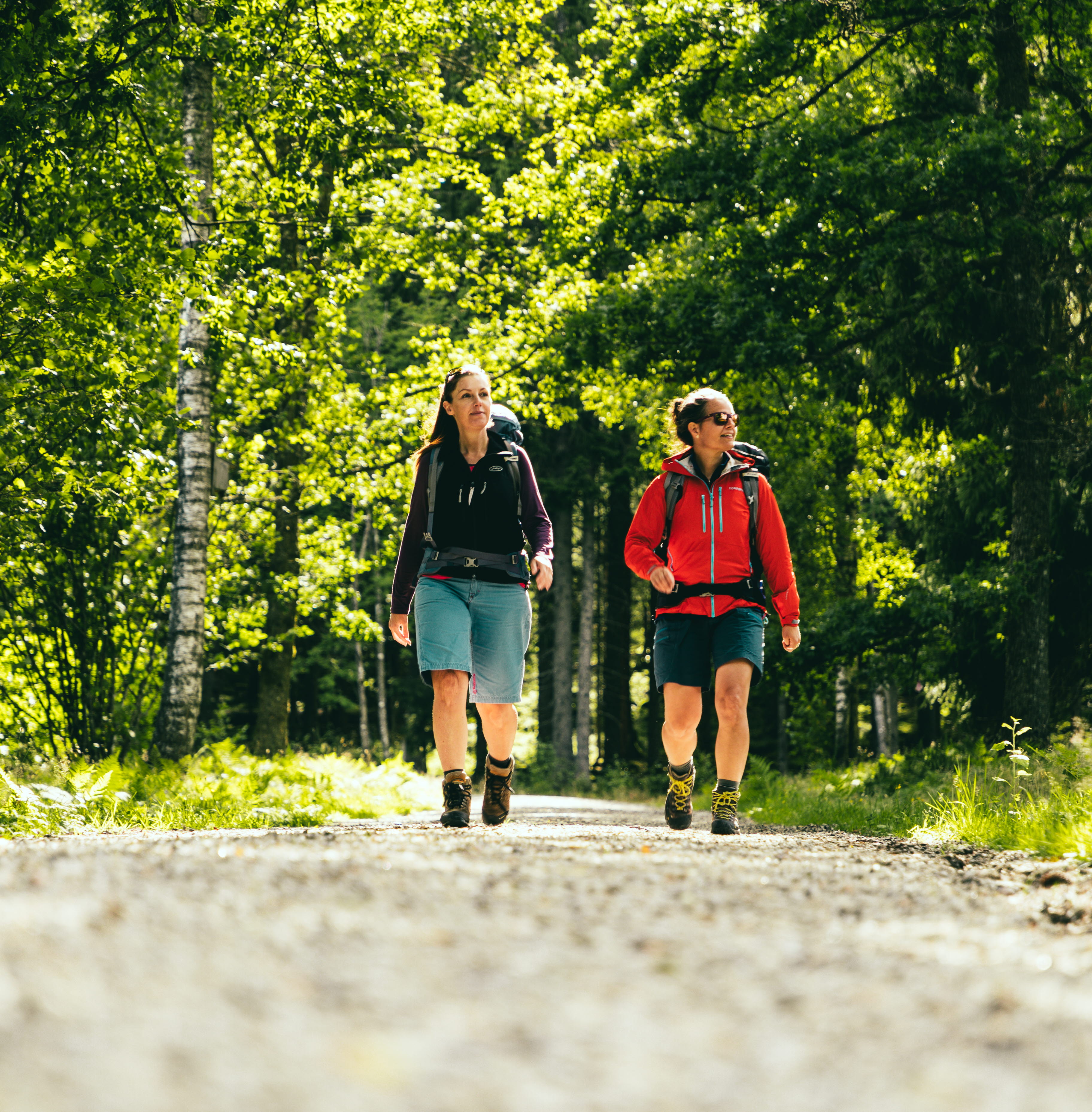 Hike at Sjuhäradsleden