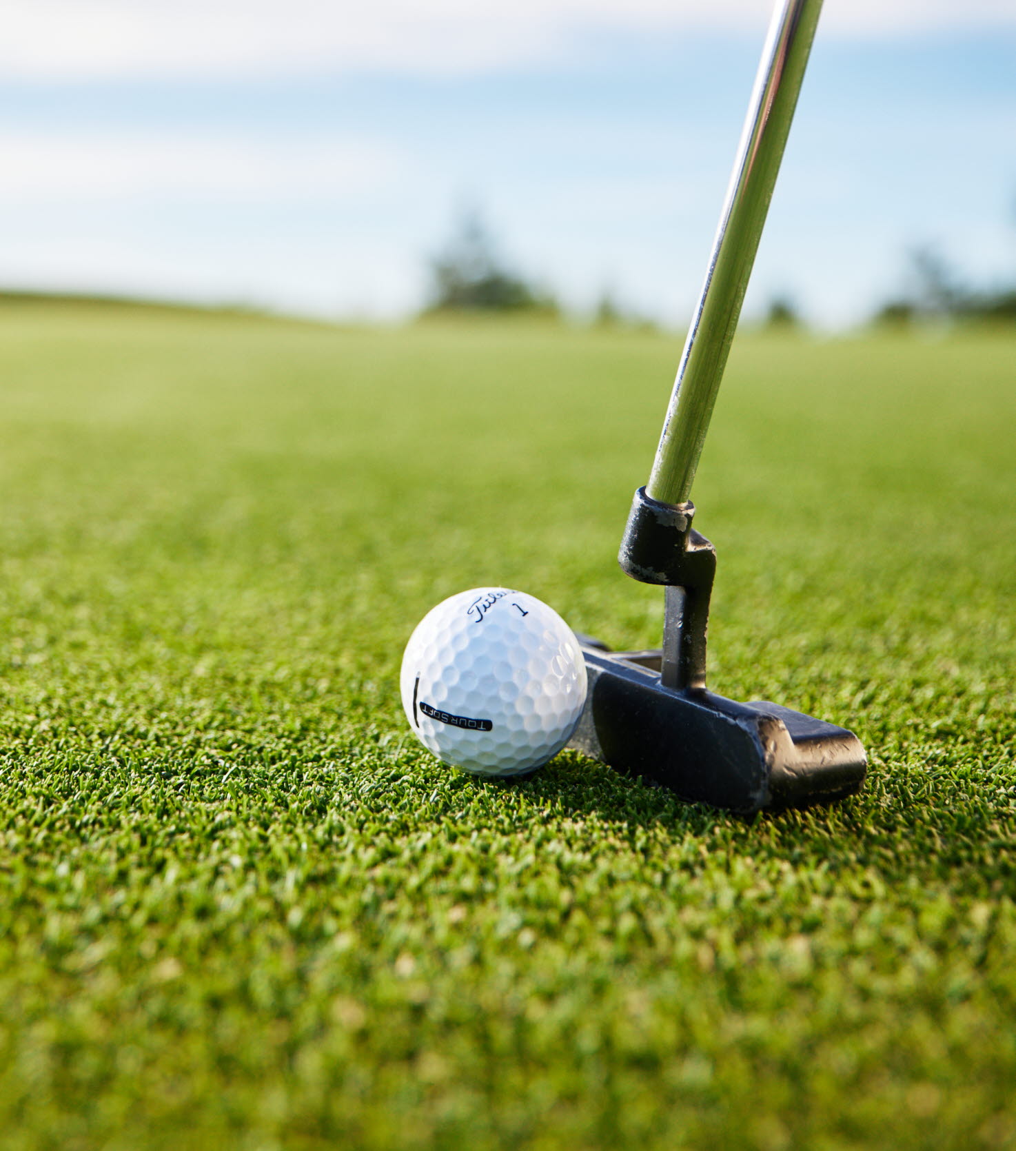 golf players at Skaftö Golfklubb