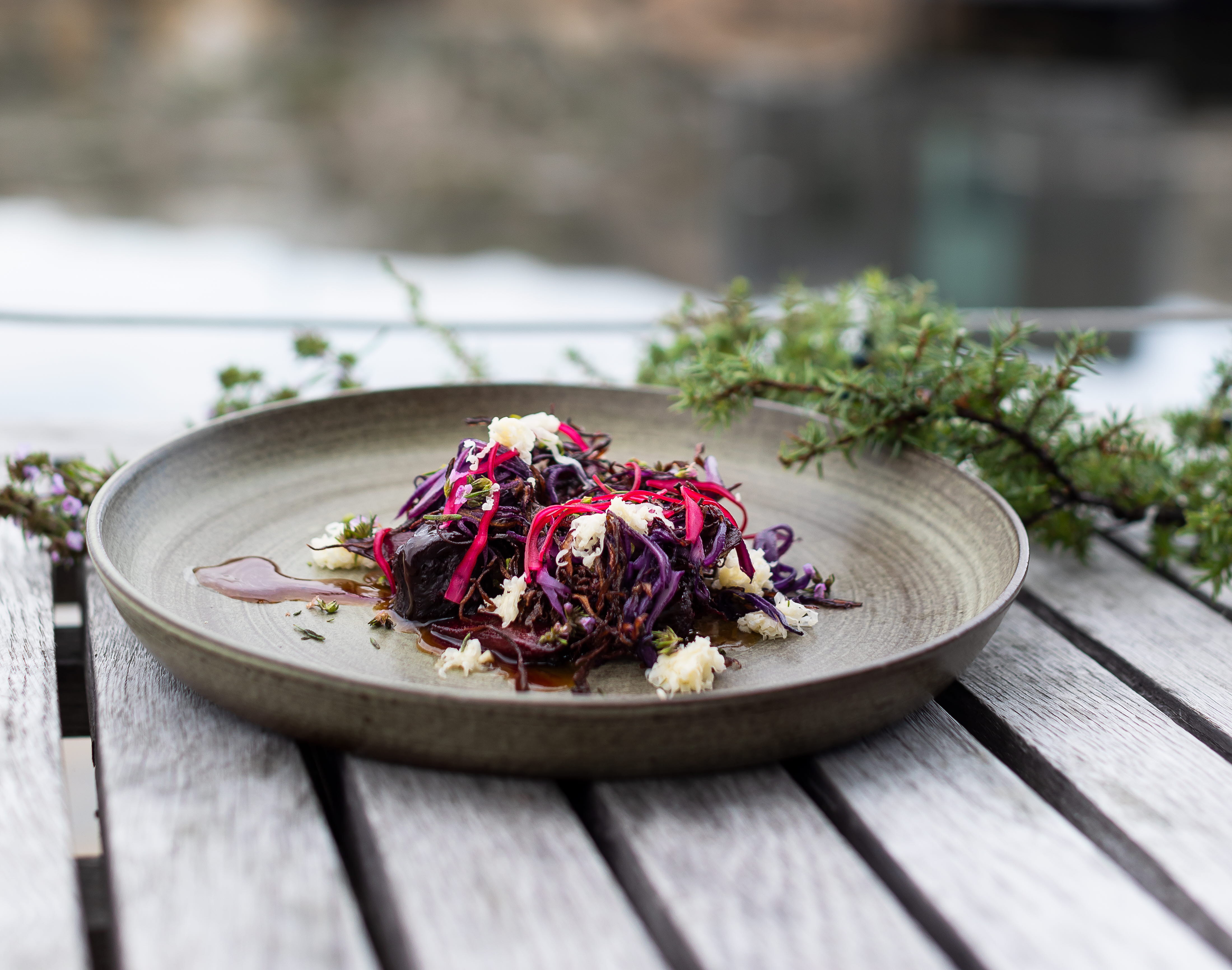 Tallrik från restaurang Vatten i Skärhamn