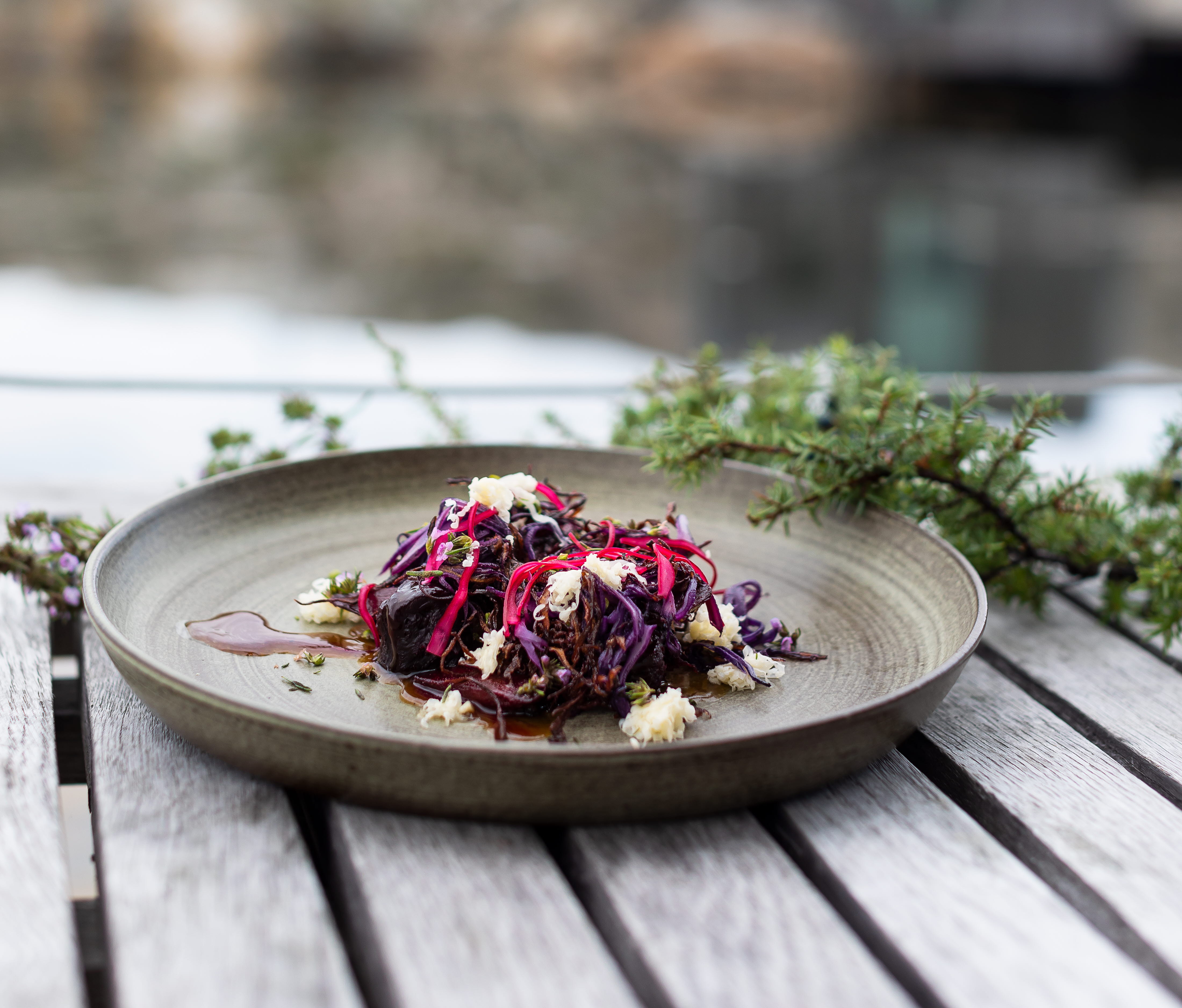 Plate from Restaurant Vatten in Skärhamn